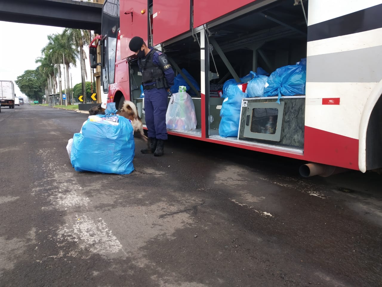Mais de 500 pessoas são presas e 7 toneladas de maconha e 68 armas apreendidas nas duas etapas da Operação Sinergia. Foto:SESP