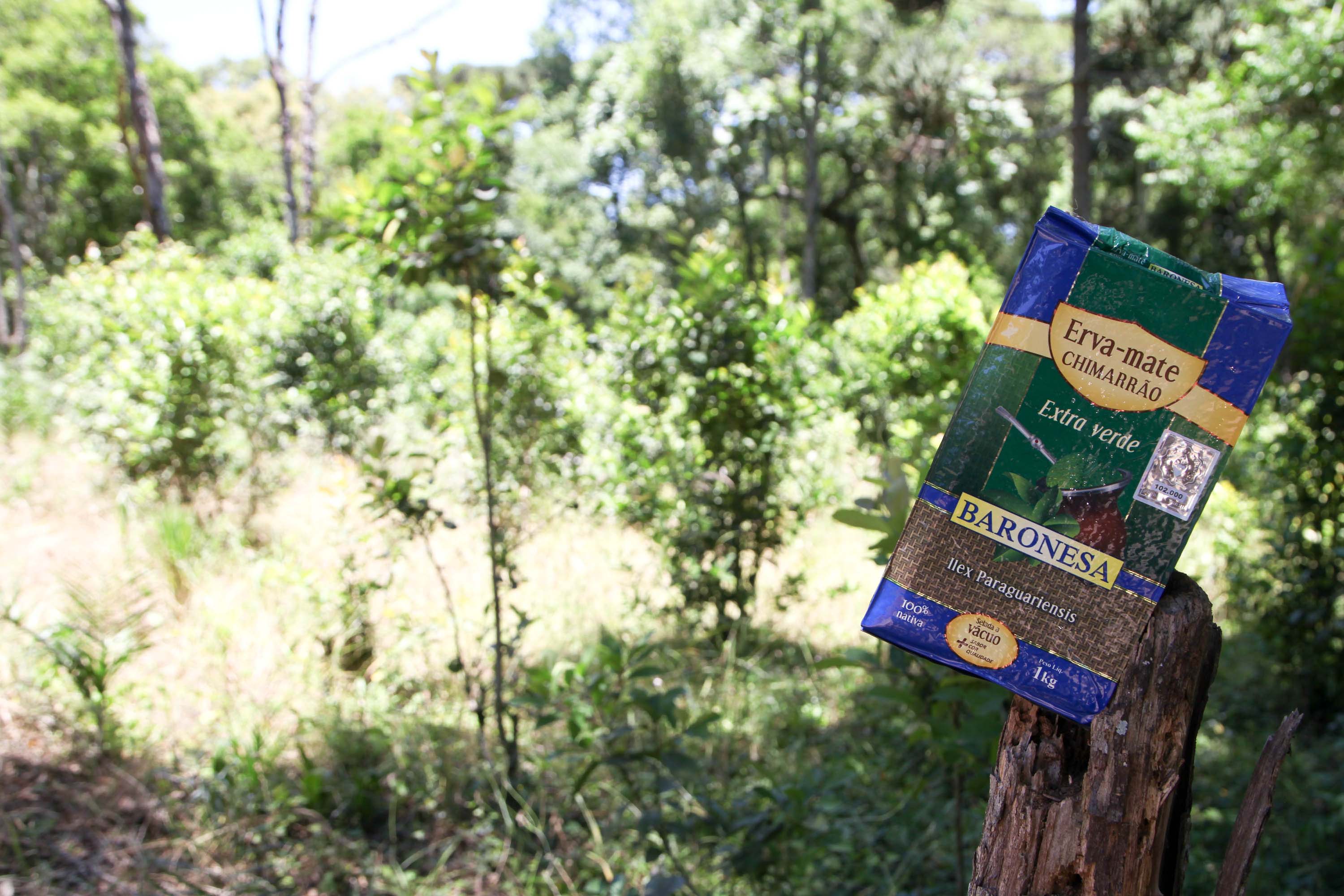 Feito no Paraná Empresa Baronesa Ervateira. Foto: Ari Dias/AEN