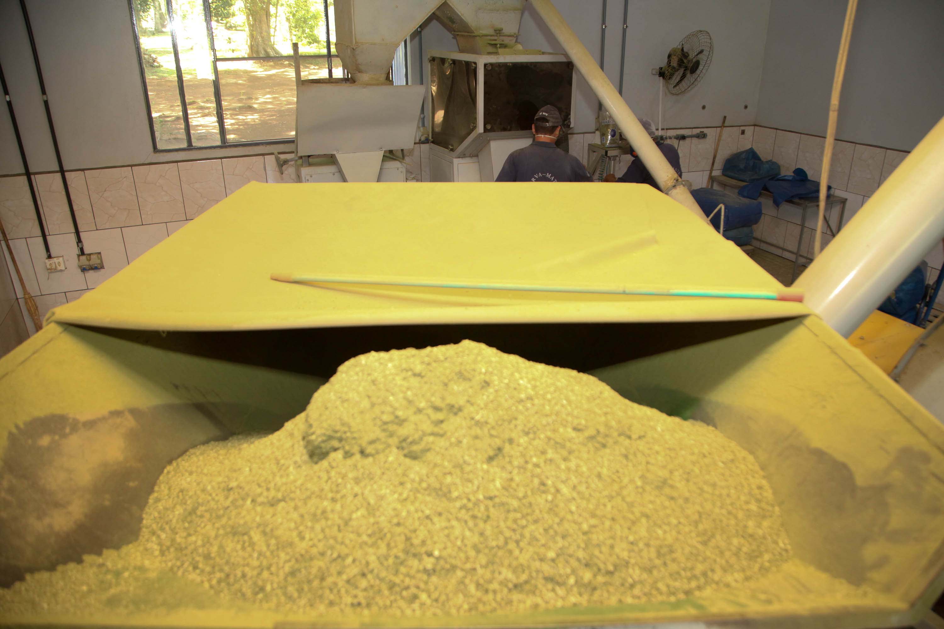 Feito no Paraná Empresa Baronesa Ervateira. Foto: Ari Dias/AEN