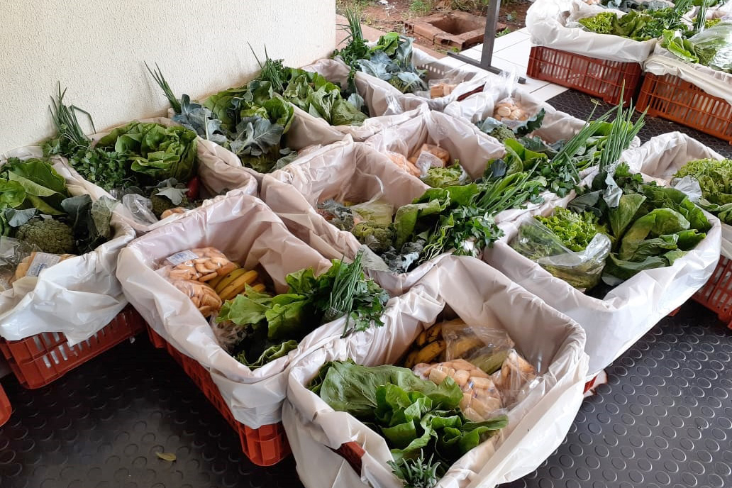 Programas garantem comercialização e renda aos pequenos agricultores. Foto:IDR