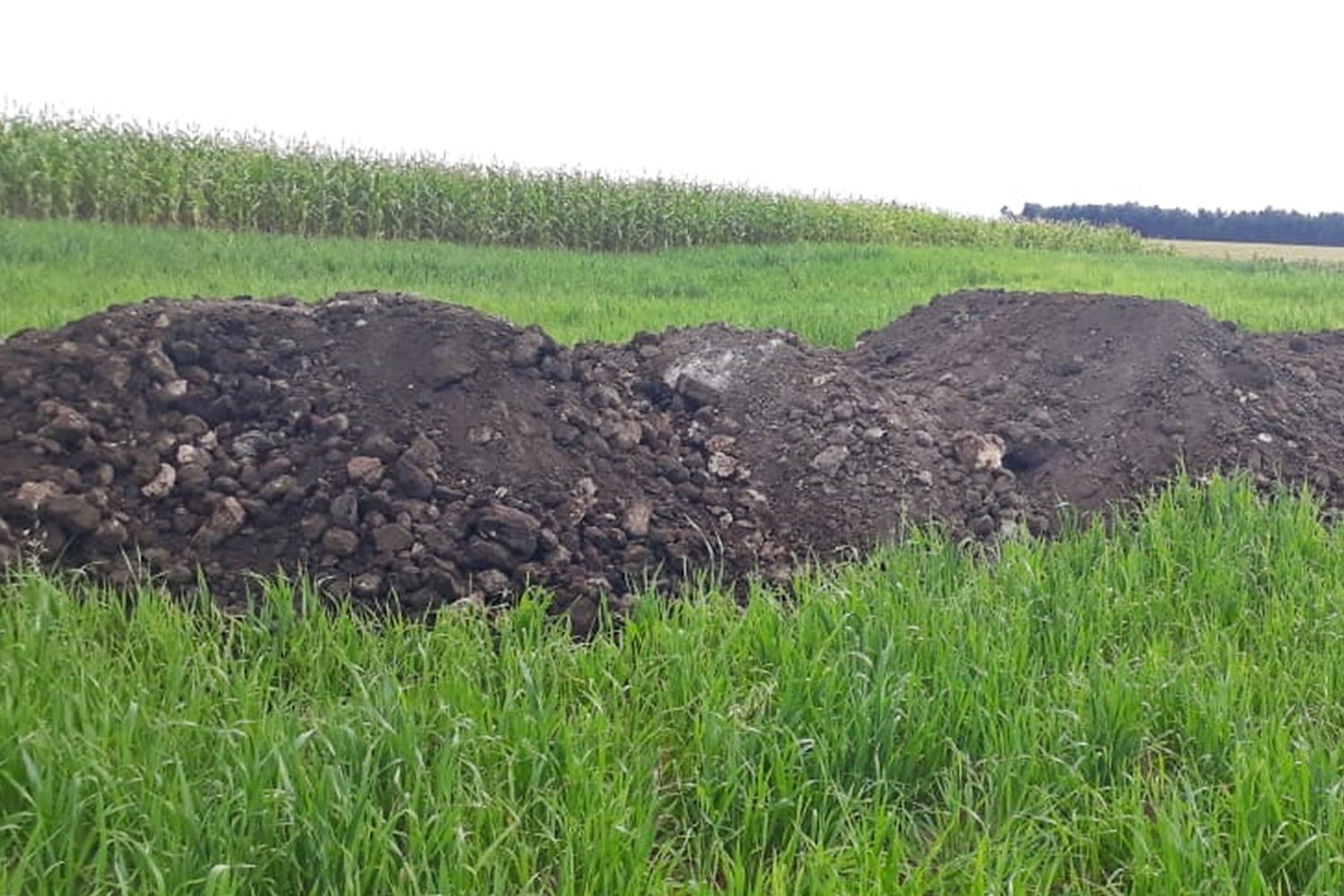 Sanepar já beneficiou mais de 120 agricultores da região
Foto: SANEPAR