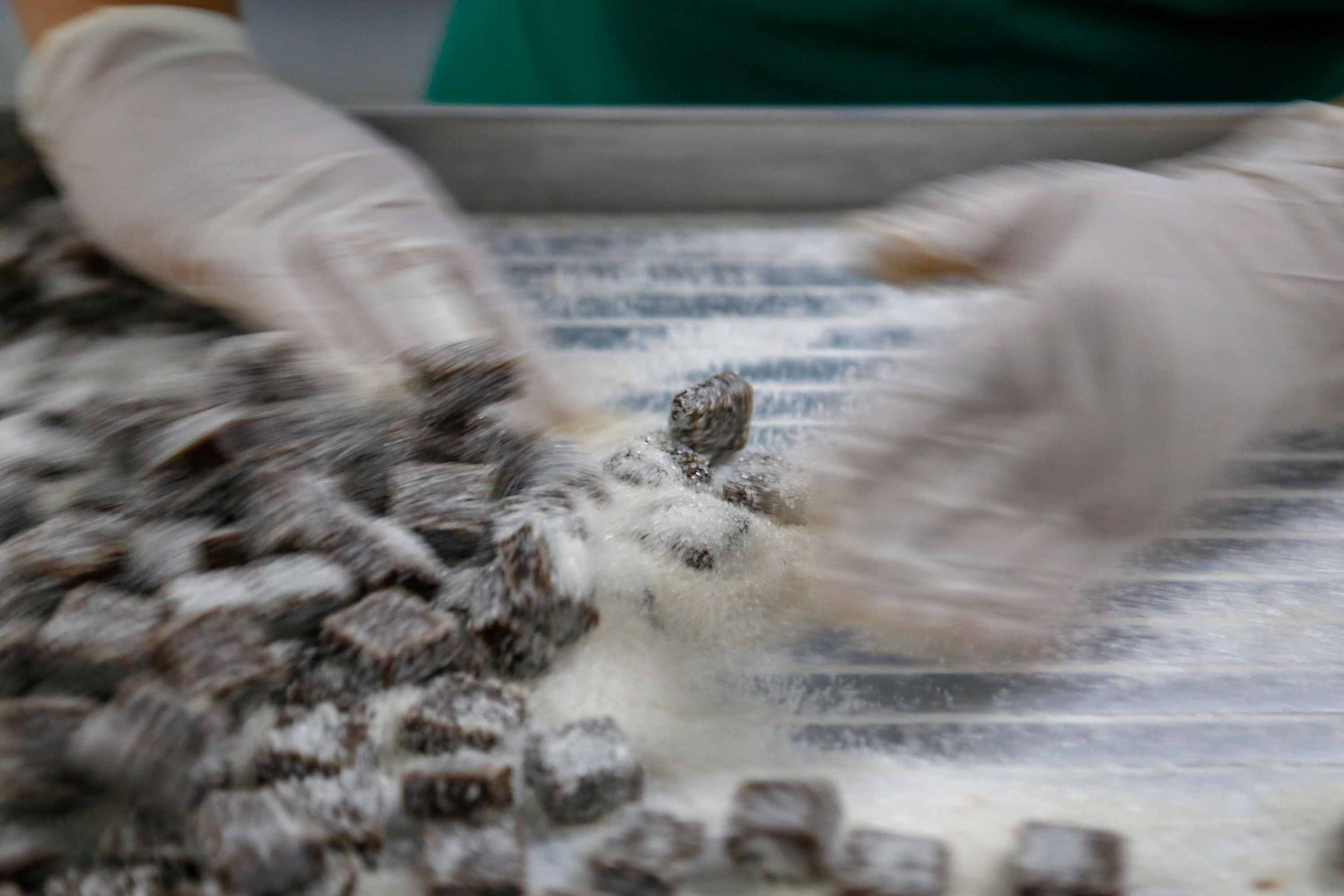 Balas, pescados e cachaça: a riqueza dos produtos do Litoral.Foto Gilson Abreu/AEN