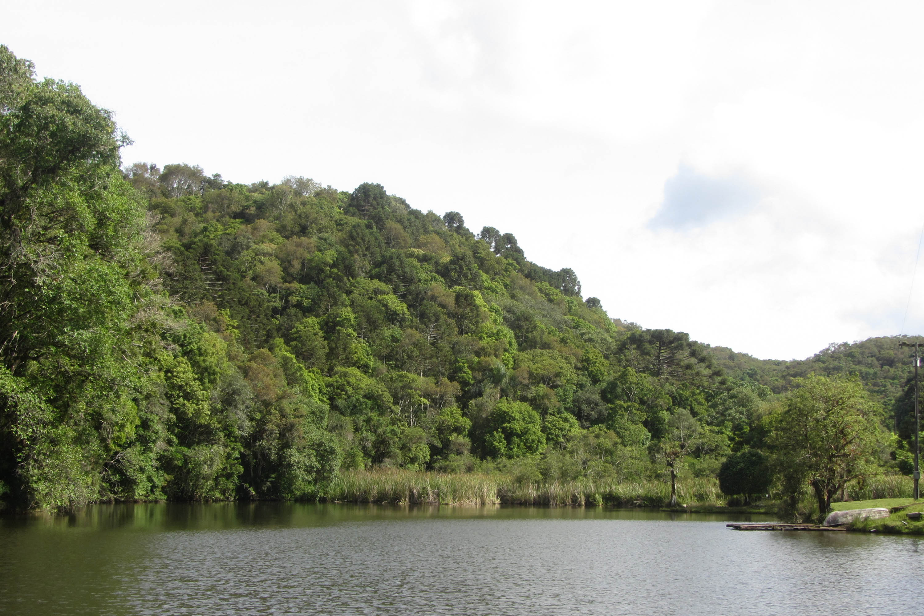 O Governo do Paraná destinou R$ 701.013,90 às 20 Reservas Particulares de Patrimônio Natural (RPPNs) inscritas no Edital nº 01/2018 do Programa Pagamento por Serviços Ambientais (PSA).  - Foto: Tereza Hoffmann / IAT