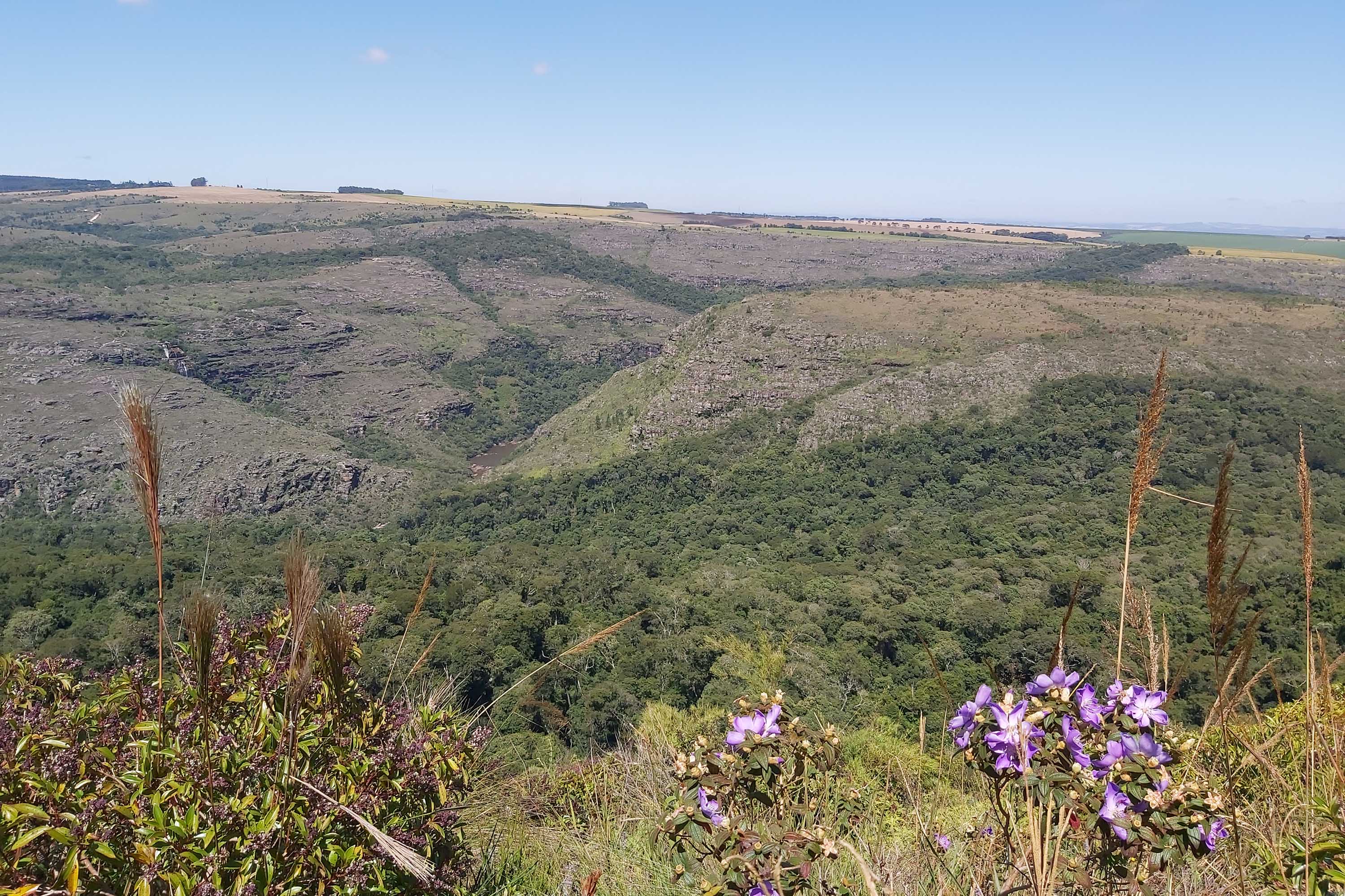O Governo do Paraná destinou R$ 701.013,90 às 20 Reservas Particulares de Patrimônio Natural (RPPNs) inscritas no Edital nº 01/2018 do Programa Pagamento por Serviços Ambientais (PSA).  - Foto: Tereza Hoffmann / IAT