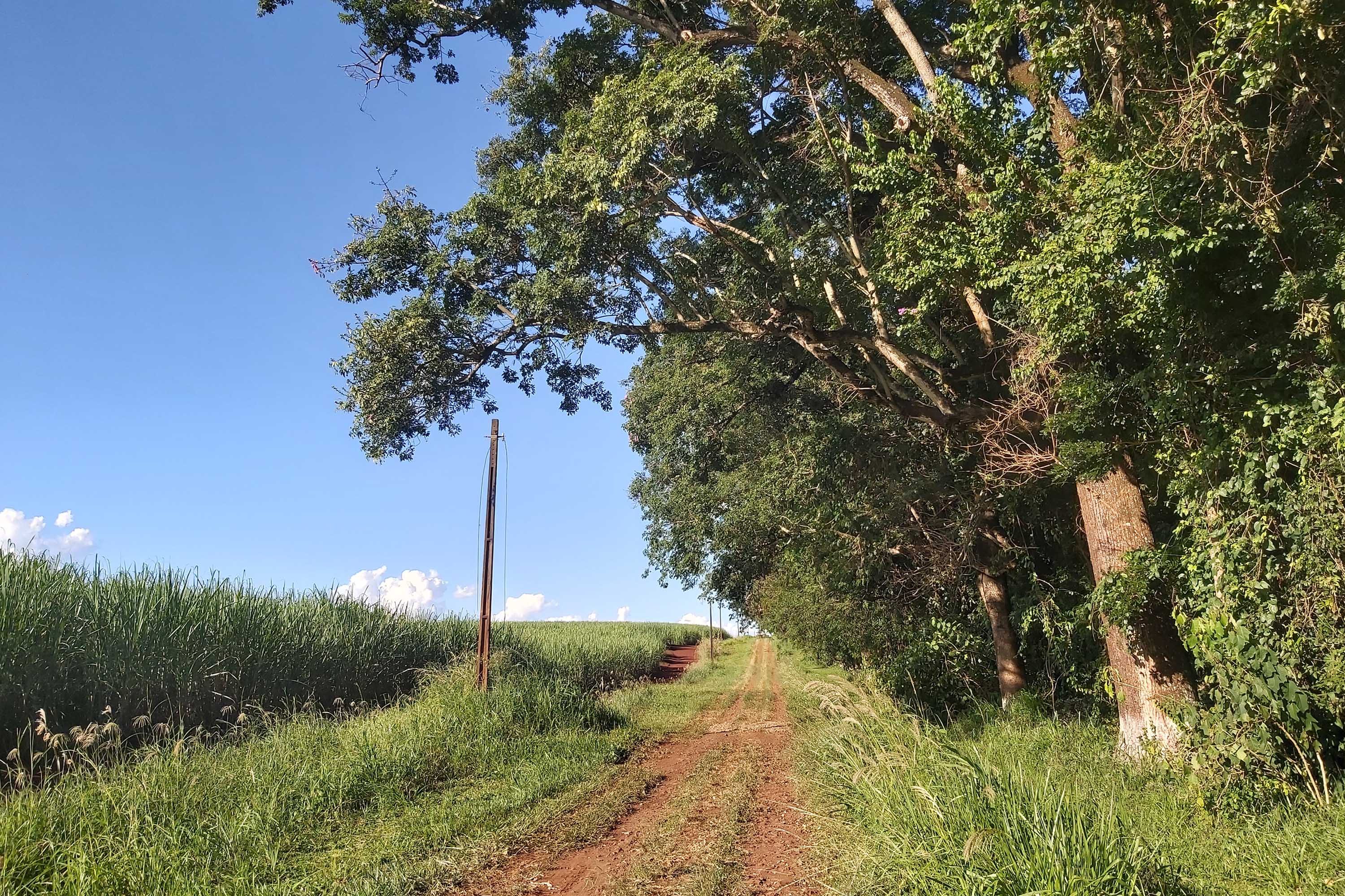 O Governo do Paraná destinou R$ 701.013,90 às 20 Reservas Particulares de Patrimônio Natural (RPPNs) inscritas no Edital nº 01/2018 do Programa Pagamento por Serviços Ambientais (PSA).  - Foto: Tereza Hoffmann / IAT