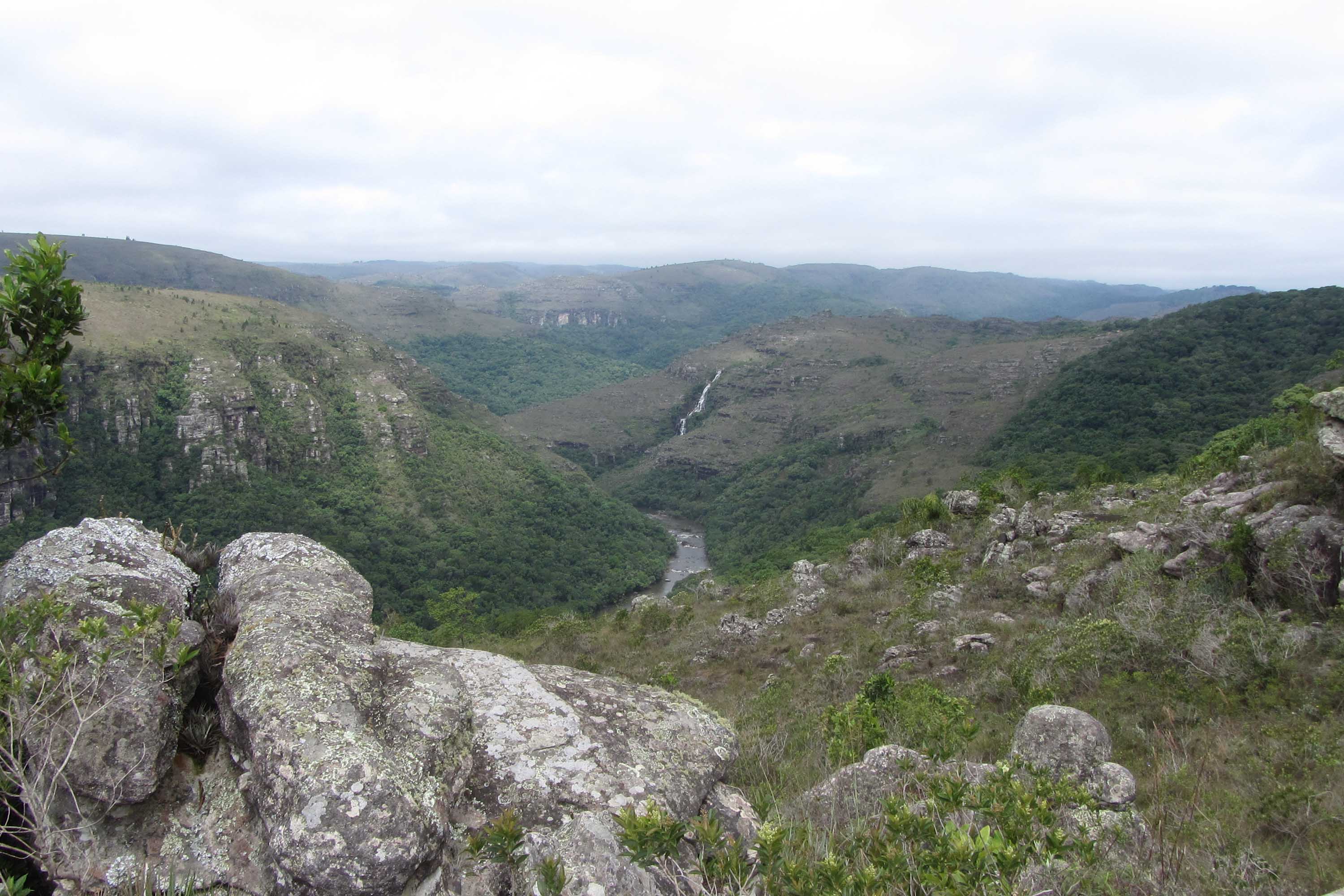 O Governo do Paraná destinou R$ 701.013,90 às 20 Reservas Particulares de Patrimônio Natural (RPPNs) inscritas no Edital nº 01/2018 do Programa Pagamento por Serviços Ambientais (PSA).  - Foto: Tereza Hoffmann / IAT