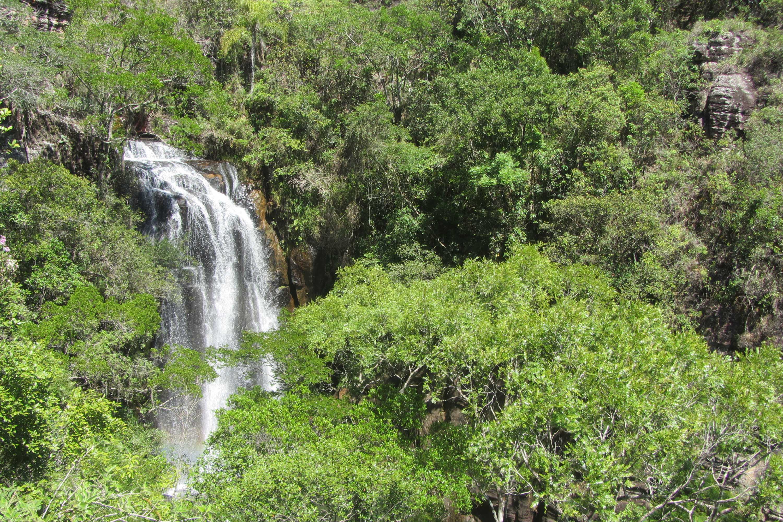 O Governo do Paraná destinou R$ 701.013,90 às 20 Reservas Particulares de Patrimônio Natural (RPPNs) inscritas no Edital nº 01/2018 do Programa Pagamento por Serviços Ambientais (PSA).  - Foto: Tereza Hoffmann / IAT