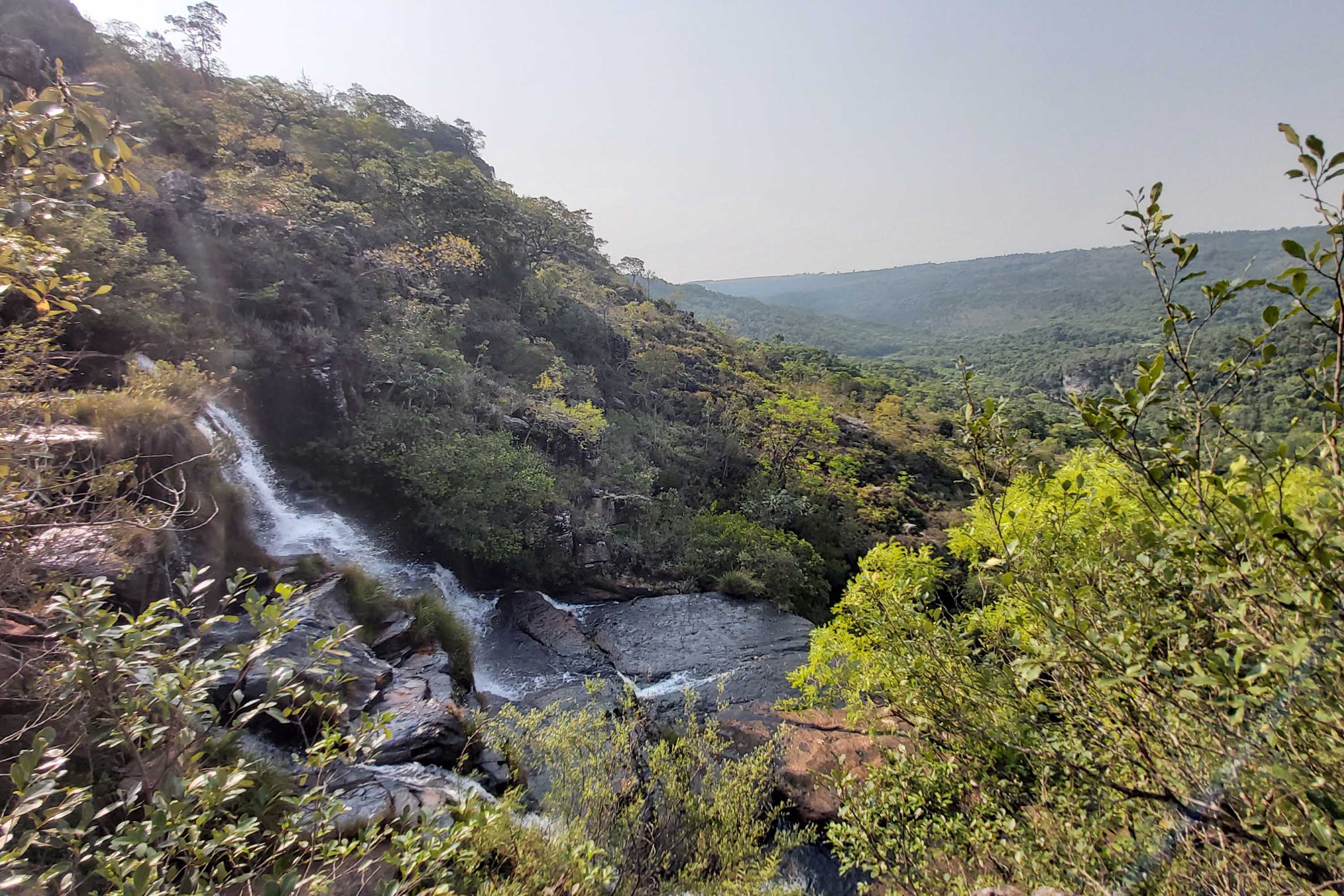 O Governo do Paraná destinou R$ 701.013,90 às 20 Reservas Particulares de Patrimônio Natural (RPPNs) inscritas no Edital nº 01/2018 do Programa Pagamento por Serviços Ambientais (PSA).  - Foto: Tereza Hoffmann / IAT