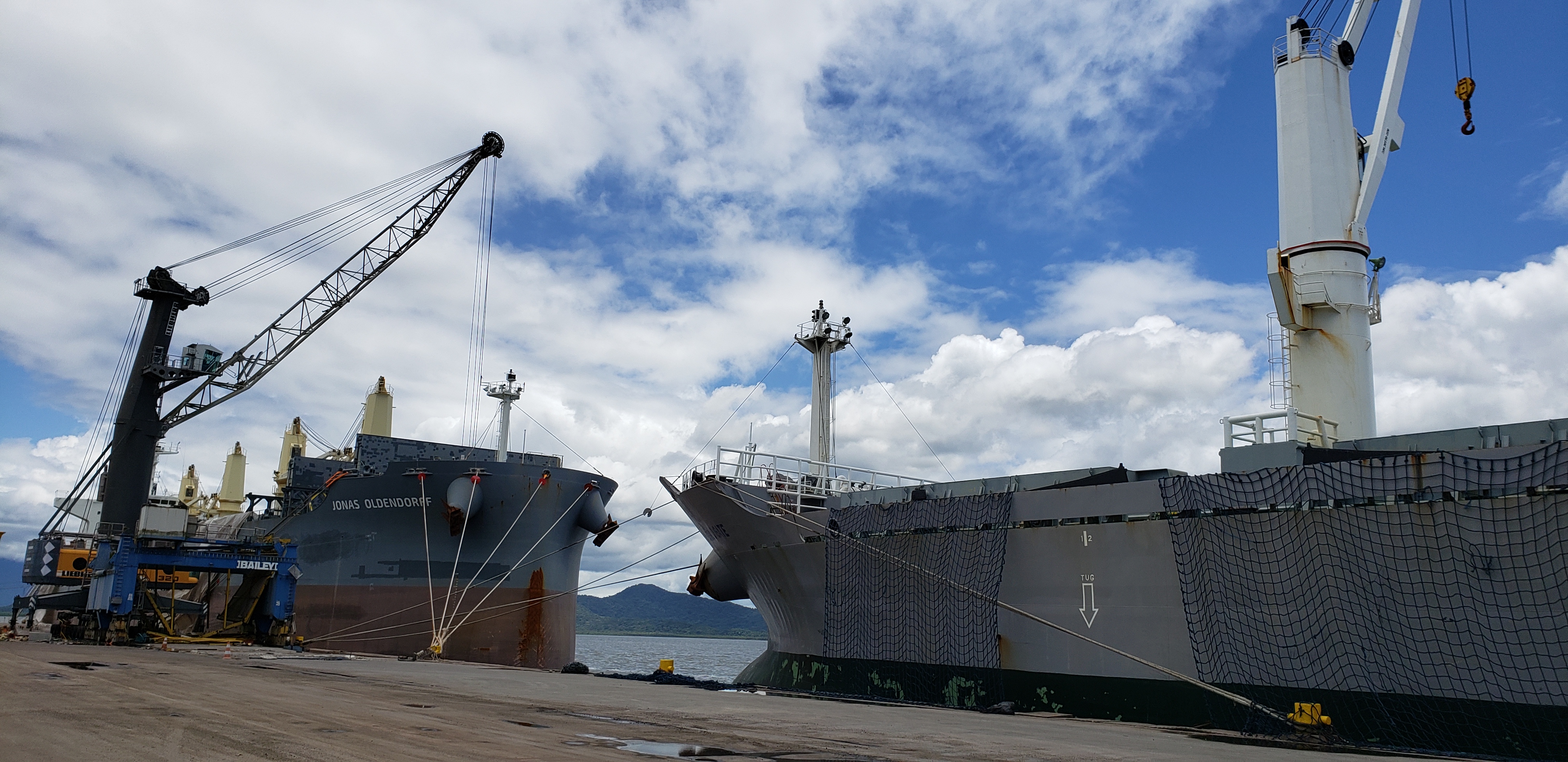 Portos de Paranaguá e Antonina registram alta de 4% na movimentação.  -  Paranaguá, 08/02/2021  -  Foto: Cesar Teixeira/Portos do Paraná