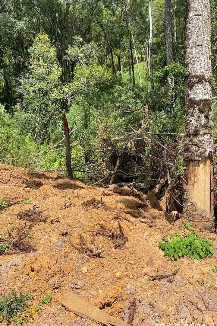 Fiscais do Escritório Regional de União da Vitória do Instituto Água e Terra (IAT) encontraram, nesta sexta-feira (19), diversas irregularidades ambientais em uma propriedade rural de General Carneiro, no extremo Sul do Paraná.  General Carneiro, 19/02/2021  -  Foto: Divulgação SEDEST/IAT