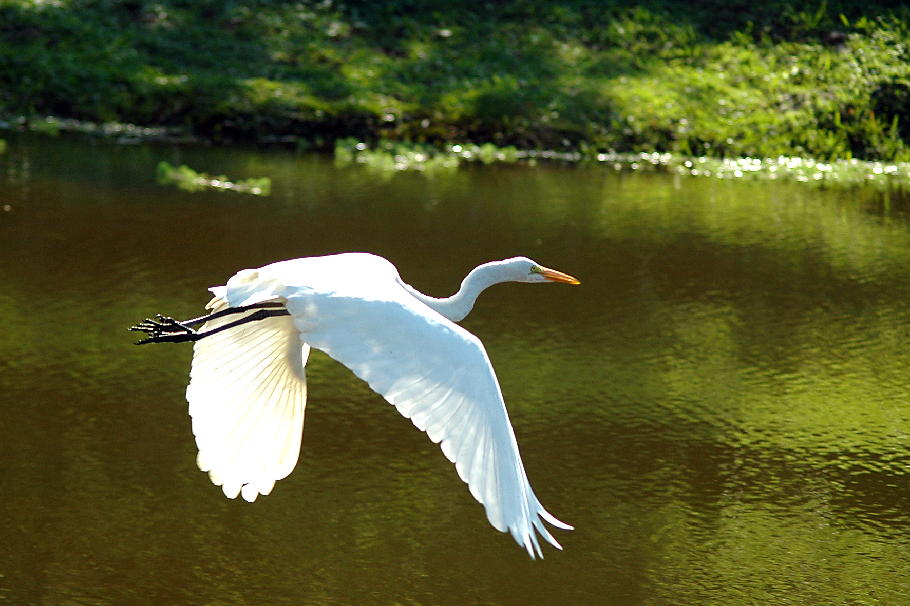 Para celebrar o Dia Mundial da Água, comemorado em 22 de março, a Secretaria de Estado do Desenvolvimento Sustentável e do Turismo (Sedest) irá divulgar vídeos temáticos durante a próxima semana e promover, na sexta-feira (26), o webinar: os cinco instrumentos de gestão de Recursos Hídricos, em parceria com a Sanepar.  Na foto, Litoral do Paraná  -  Curitiba, 19/03/2021  -  Foto: Denis Ferreira Netto/SEDEST