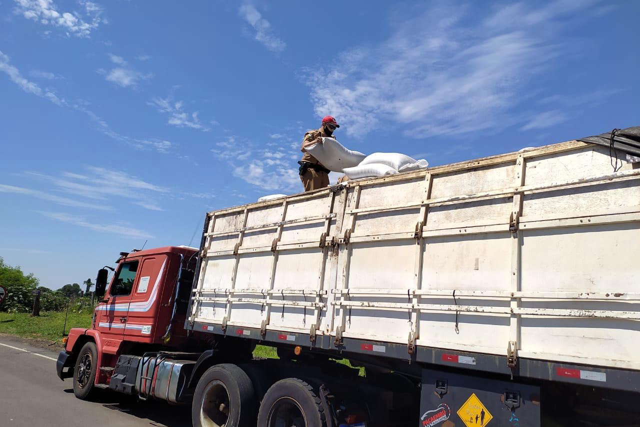 Mais de 4,7 toneladas de maconha foram apreendidas por policiais militares do Batalhão de Polícia Rodoviária (BPRv) durante uma abordagem de rotina. A apreensão, que é a maior do ano, começou por volta de 12h30 de quinta-feira (25/03) na cidade de Iporã, no Noroeste do estado, e resultou na prisão de um homem. A droga estava escondida em uma carga de chia. Curitiba, 25/03/2021 - Foto: Divulgação SESP