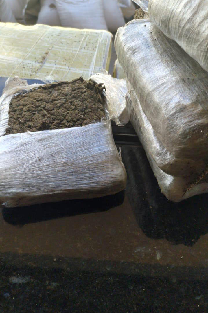 Mais de 4,7 toneladas de maconha foram apreendidas por policiais militares do Batalhão de Polícia Rodoviária (BPRv) durante uma abordagem de rotina. A apreensão, que é a maior do ano, começou por volta de 12h30 de quinta-feira (25/03) na cidade de Iporã, no Noroeste do estado, e resultou na prisão de um homem. A droga estava escondida em uma carga de chia. Curitiba, 25/03/2021 - Foto: Divulgação SESP