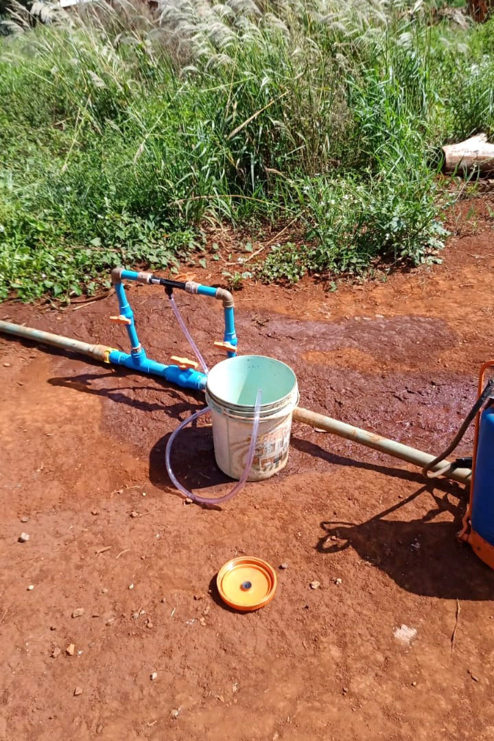 Governo promove qualidade de vida e renda para pequenos produtores  -  Foto: Divulgação IDR-Paraná