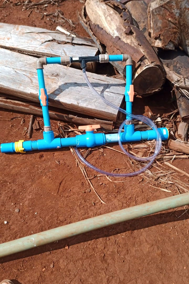 Governo promove qualidade de vida e renda para pequenos produtores  -  Foto: Divulgação IDR-Paraná