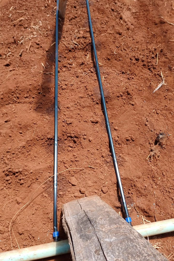 Governo promove qualidade de vida e renda para pequenos produtores  -  Foto: Divulgação IDR-Paraná