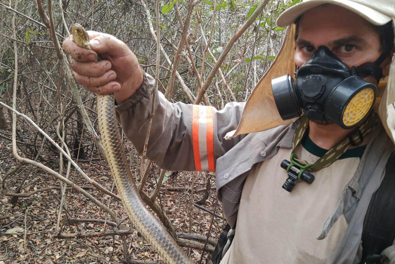 A Secretaria de Estado do Desenvolvimento Sustentável e do Turismo (Sedest), em parceria com a Proteção Animal Mundial (World Animal Protection), ofertará no mês de julho o curso de Manejo de Animais em Situação de Desastres. -  Curitiba, 16/04/2021  -  Foto: Raphael Eduardo Fernandes Santos