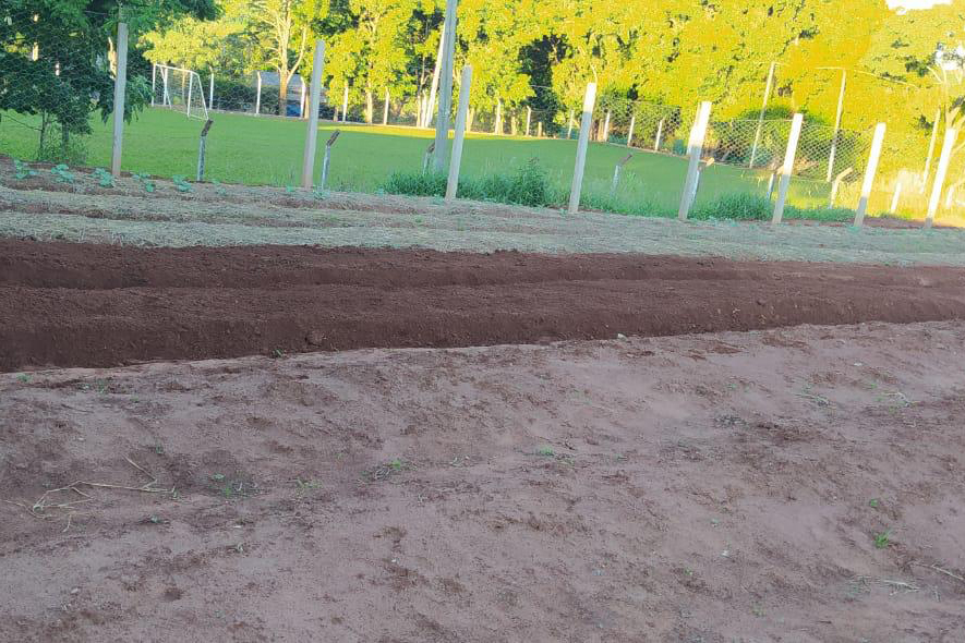 Moradores de Araruna ganham primeira Horta Comunitária. Foto:SEAB