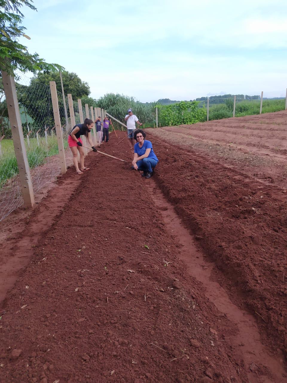 Moradores de Araruna ganham primeira Horta Comunitária. Foto:SEAB