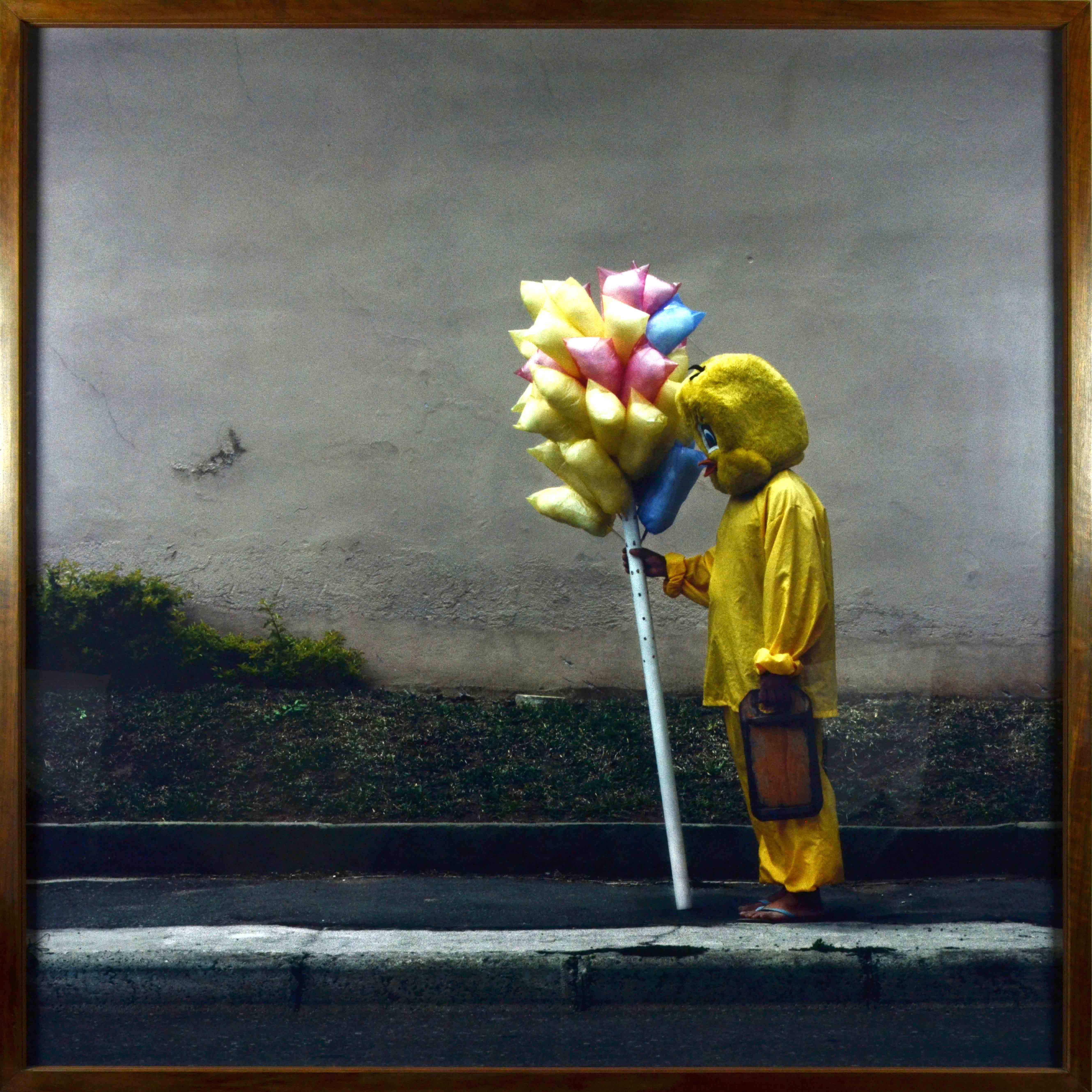 1 - Obra_Juliana Stein ? ?Nada Parece Ser Verdadeiro que Na?o Possa Parecer Falso" - Foto: Juliana Stein