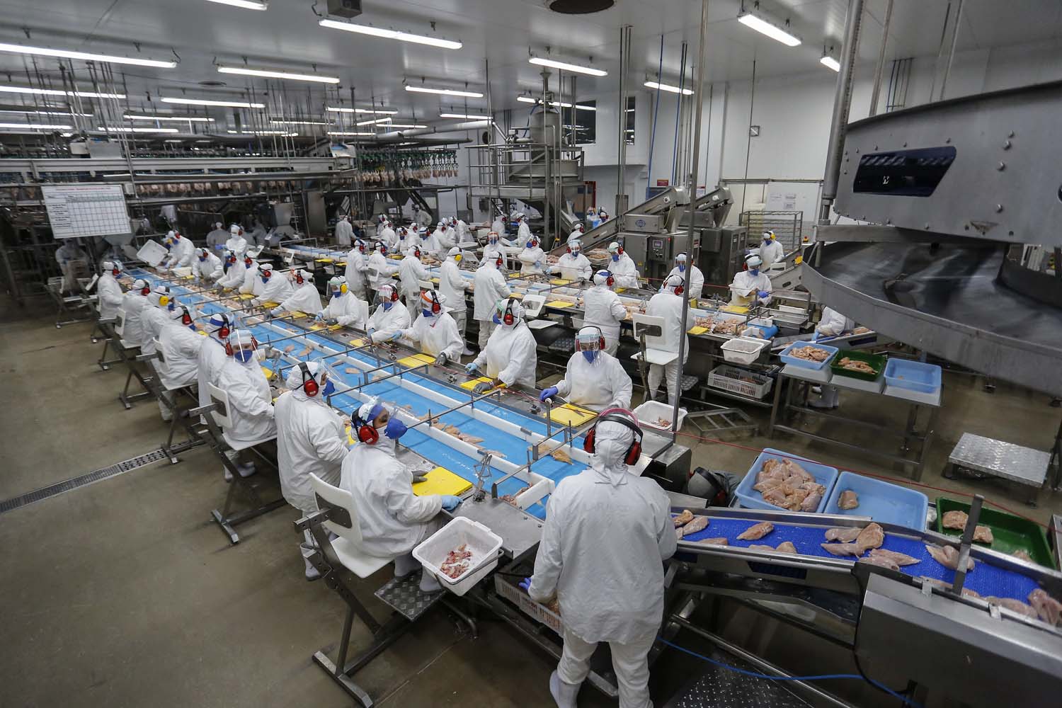 Primeiro trimestre de 2021 foi o melhor da história do Paraná no trabalho formal  - Foto : Jonathan Campos / AEN