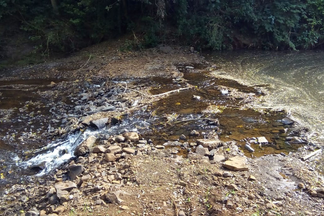 Rio Siemens apresenta redução de 40% na vazão - Foto: Sanepar