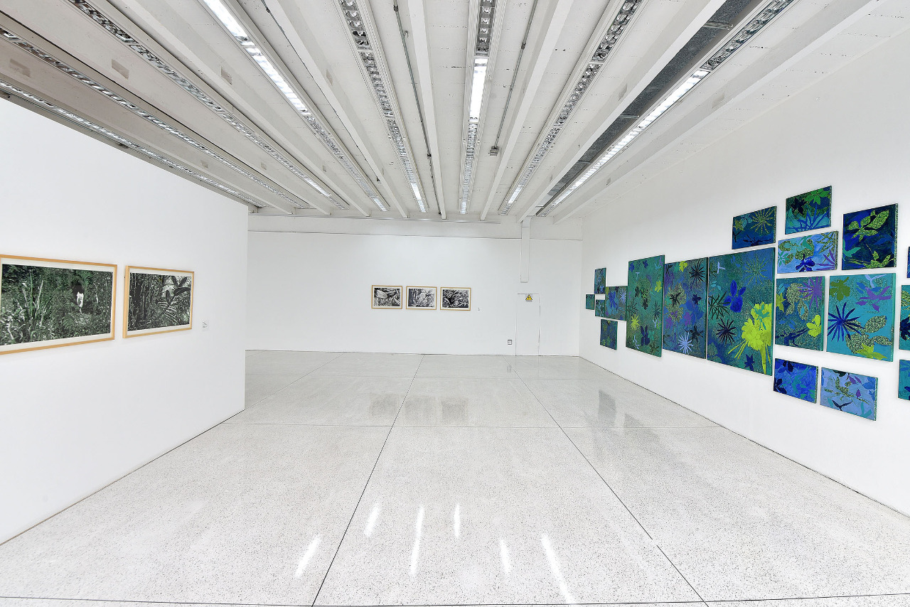 MON e MAC Paraná reabrem ao público com protocolos de segurança e novas exposições. Foto:SECC