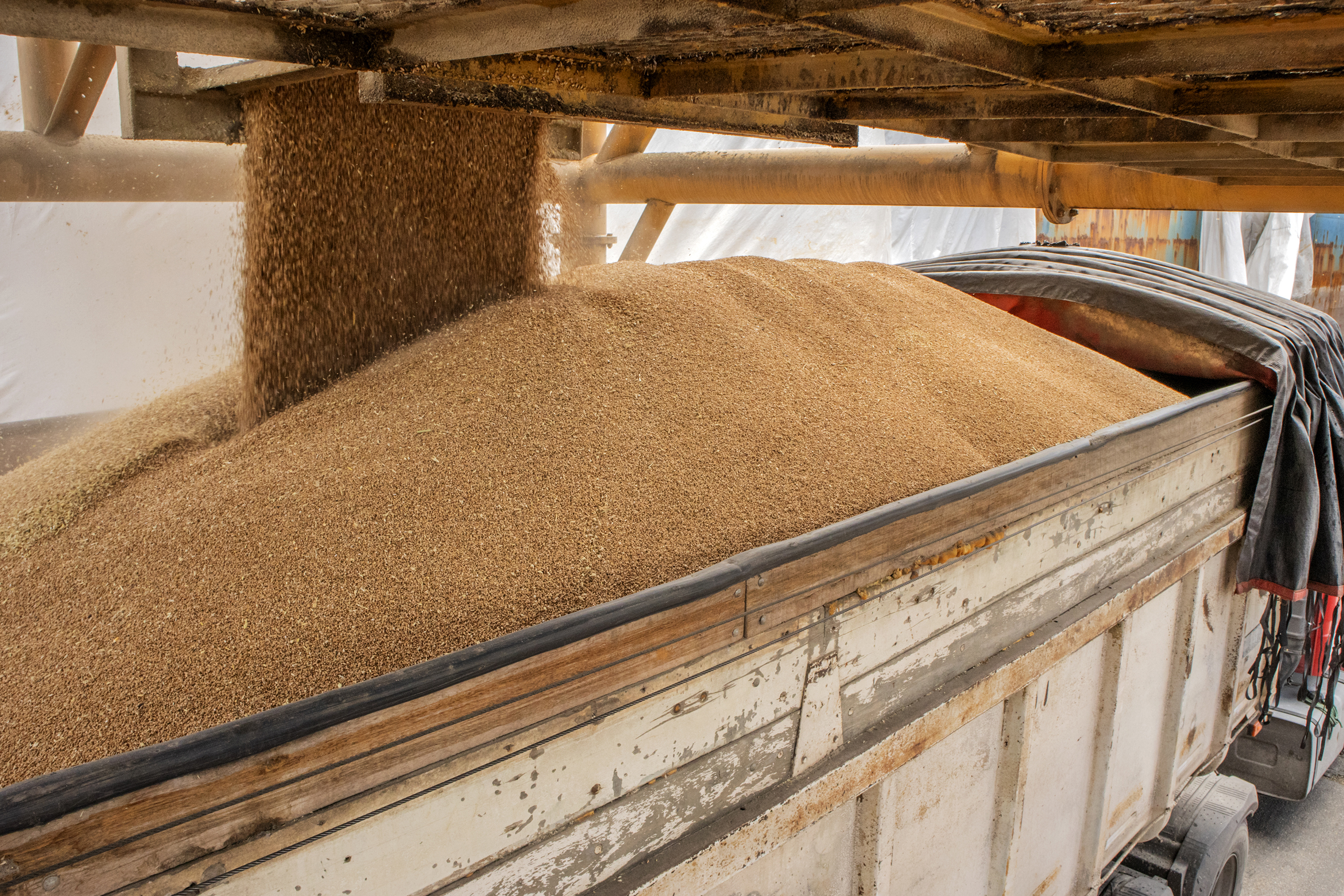 As importações puxaram a movimentação de cargas pelos portos do Paraná no primeiro quadrimestre do ano. Com altas significativas na descarga de produtos dos segmentos de Carga Geral e Granéis Sólidos, os terminais de Paranaguá e Antonina movimentaram 18.262.189 toneladas, de janeiro a abril. - Paranaguá, 10/05/2021  -  Foto: Claudio Neves/Portos do Paraná