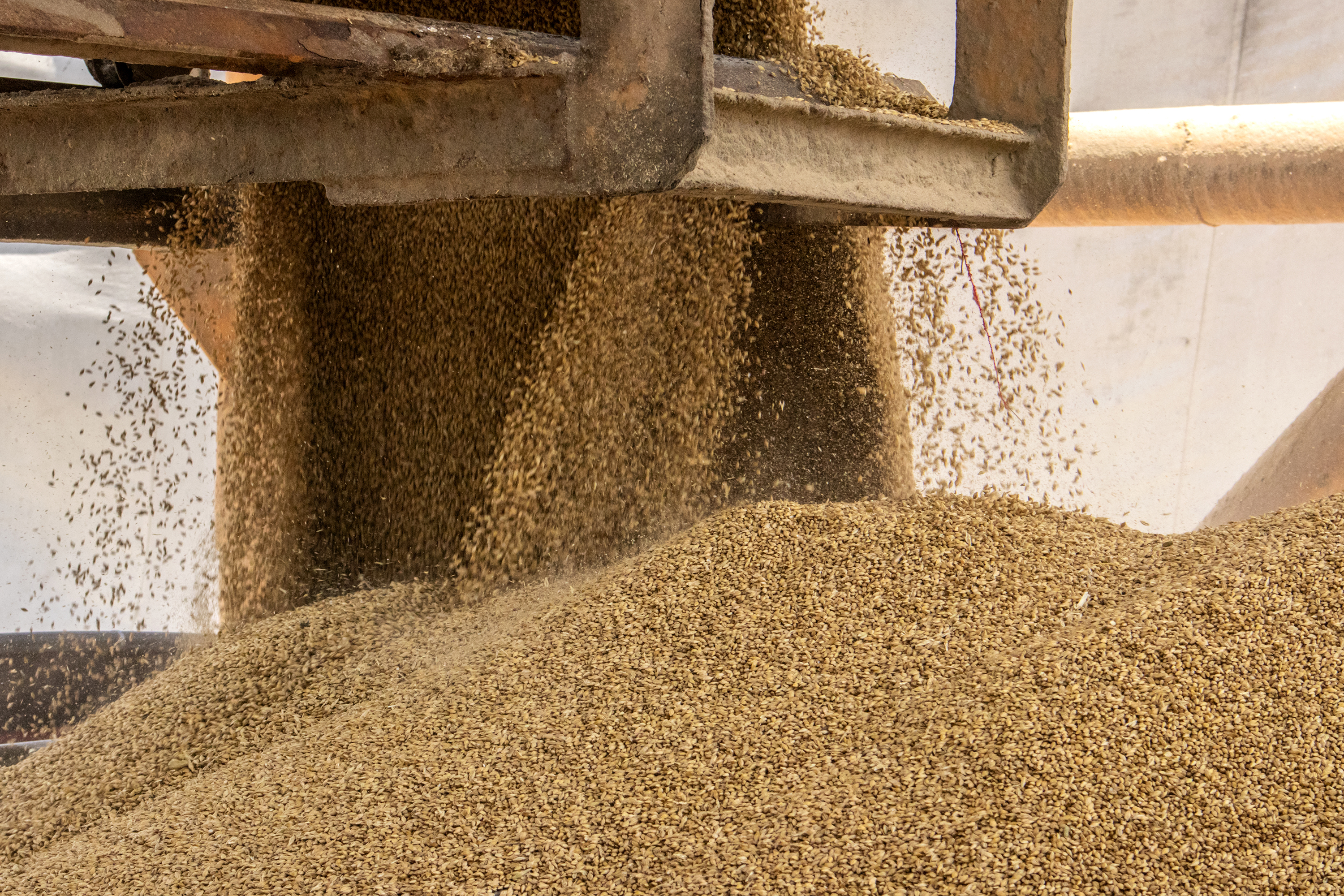 As importações puxaram a movimentação de cargas pelos portos do Paraná no primeiro quadrimestre do ano. Com altas significativas na descarga de produtos dos segmentos de Carga Geral e Granéis Sólidos, os terminais de Paranaguá e Antonina movimentaram 18.262.189 toneladas, de janeiro a abril. - Paranaguá, 10/05/2021  -  Foto: Claudio Neves/Portos do Paraná