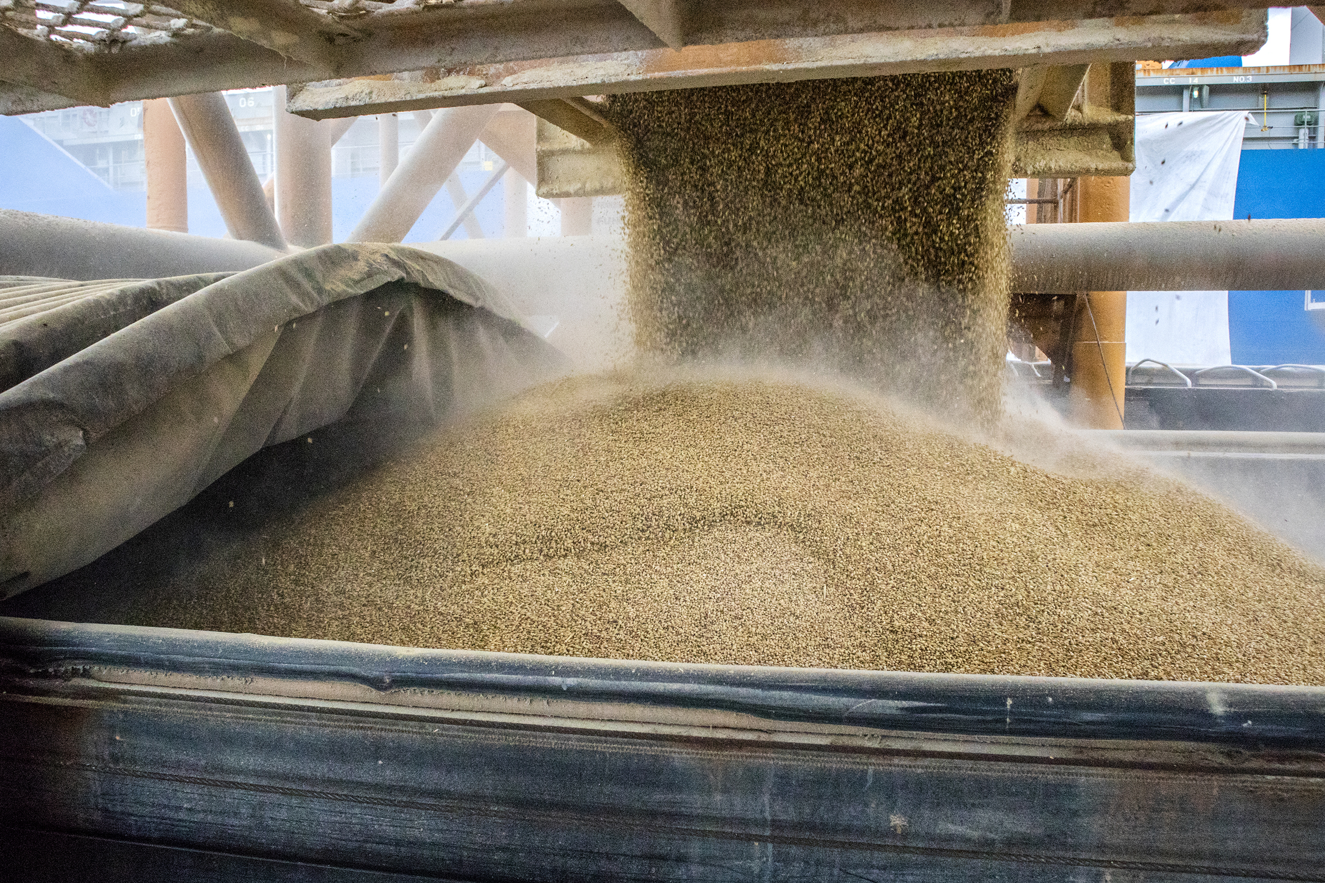 As importações puxaram a movimentação de cargas pelos portos do Paraná no primeiro quadrimestre do ano. Com altas significativas na descarga de produtos dos segmentos de Carga Geral e Granéis Sólidos, os terminais de Paranaguá e Antonina movimentaram 18.262.189 toneladas, de janeiro a abril. - Paranaguá, 10/05/2021  -  Foto: Claudio Neves/Portos do Paraná