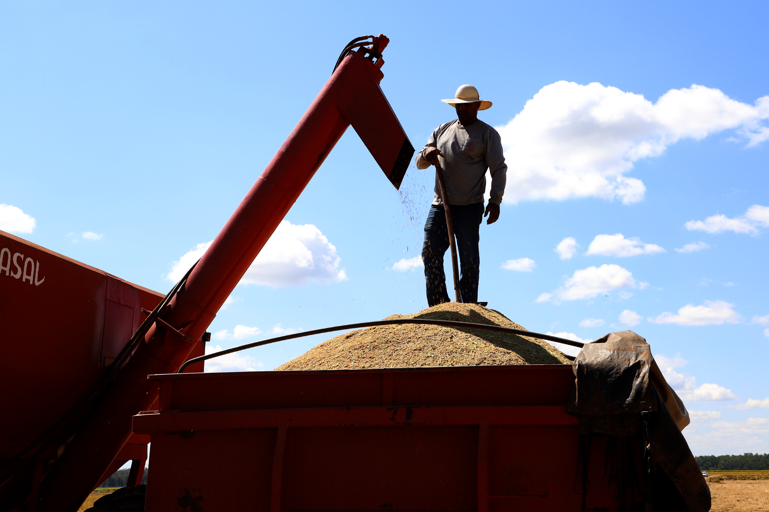 Fazenda Bassani em Santa Isabel do Ivaí. Foto: Ari Dias/AEN