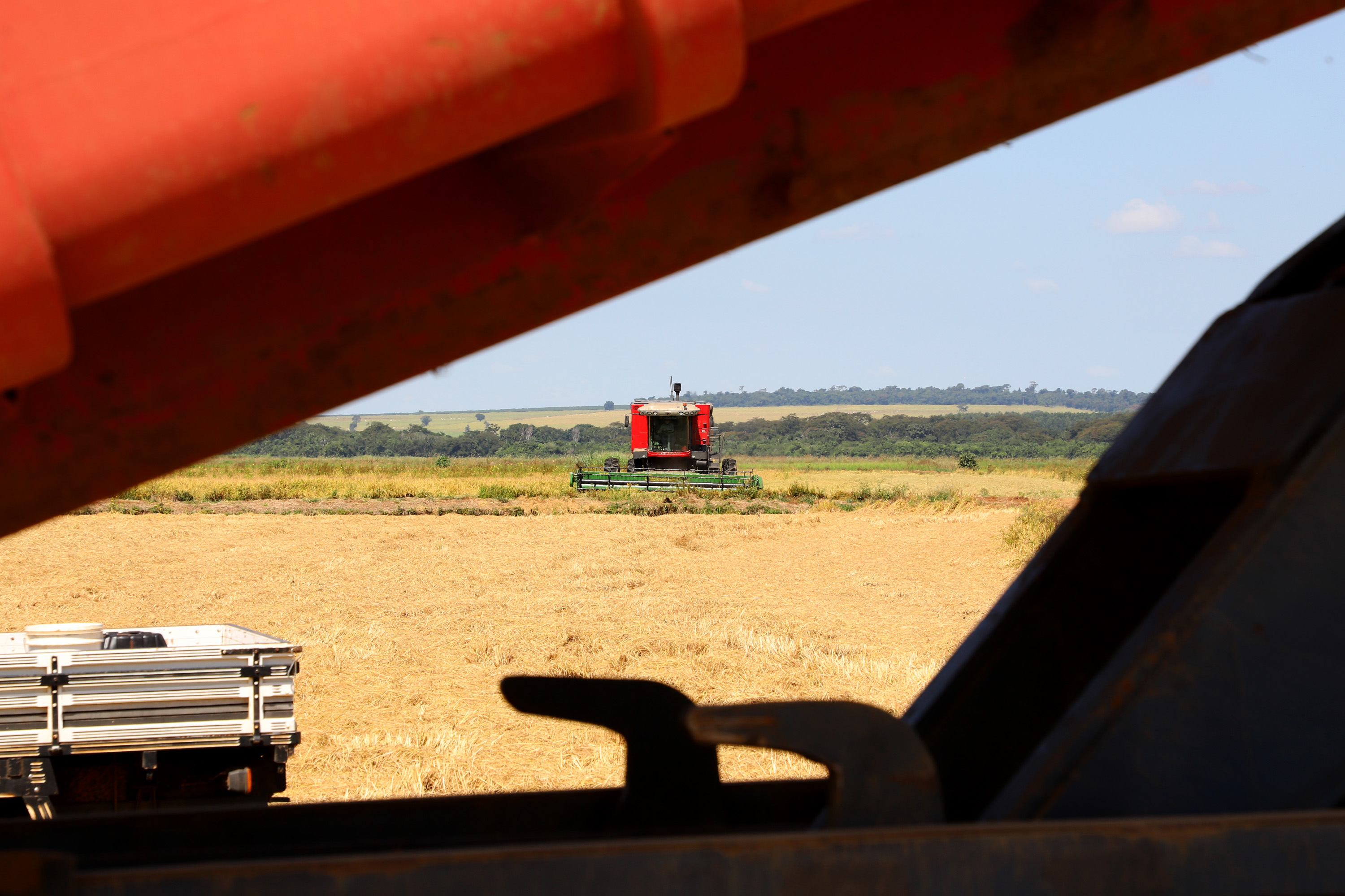 Fazenda Bassani em Santa Isabel do Ivaí. Foto: Ari Dias/AEN
