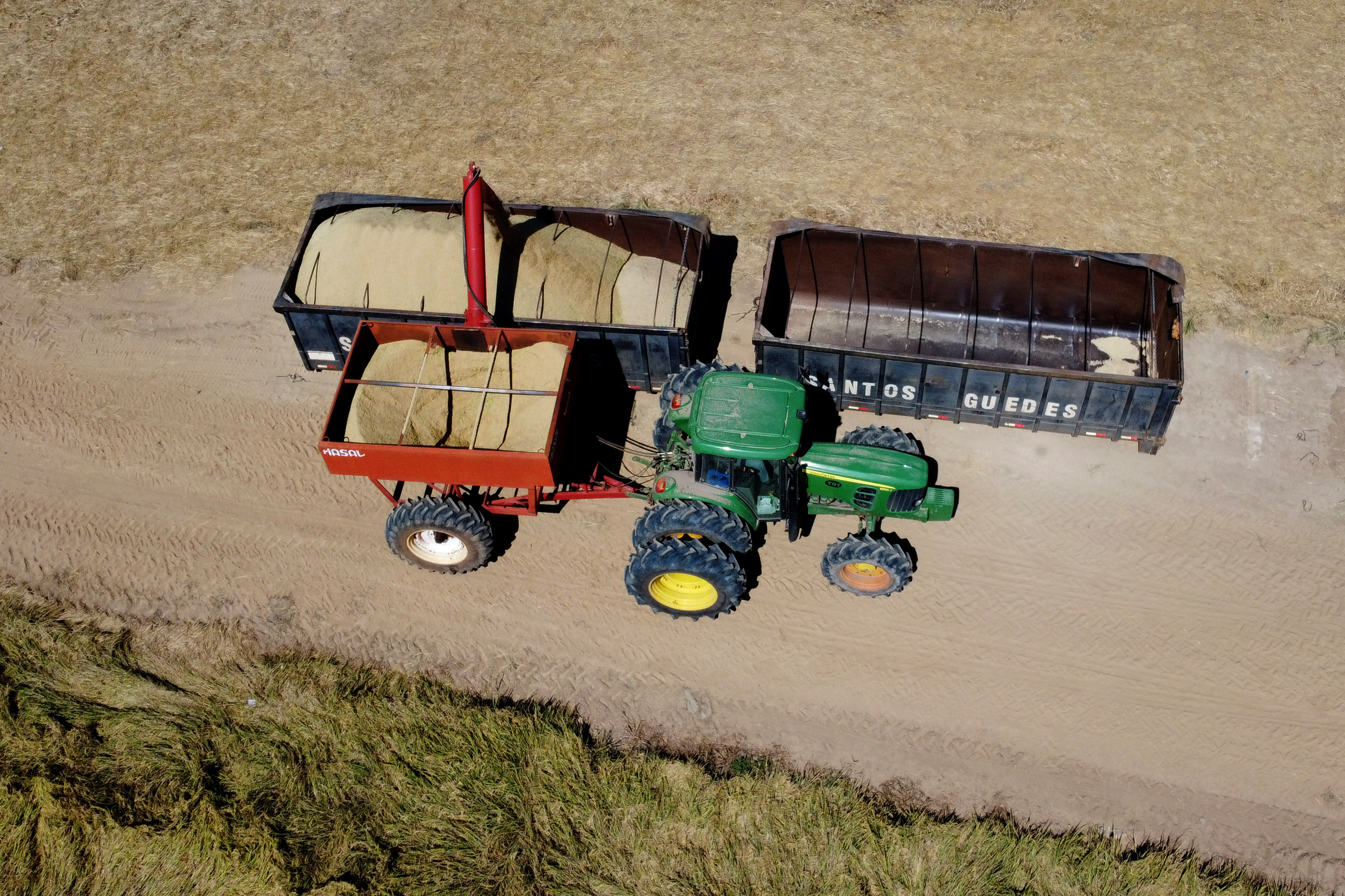 Fazenda Bassani em Santa Isabel do Ivaí. Foto: Ari Dias/AEN