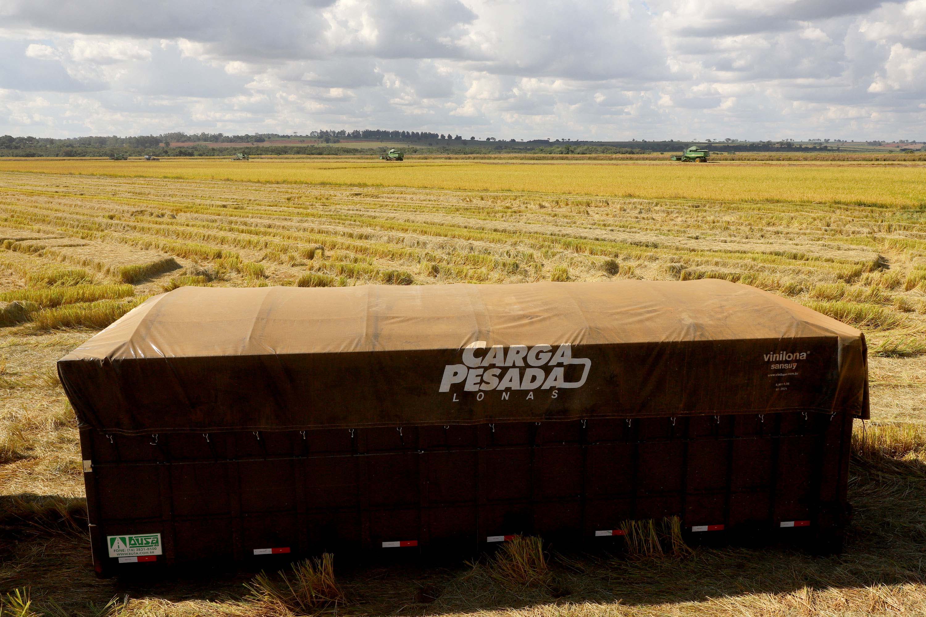 Colheita de arroz - Fazendas Volta Grande e Nova Brasília.Foto: Ari Dias/AEN