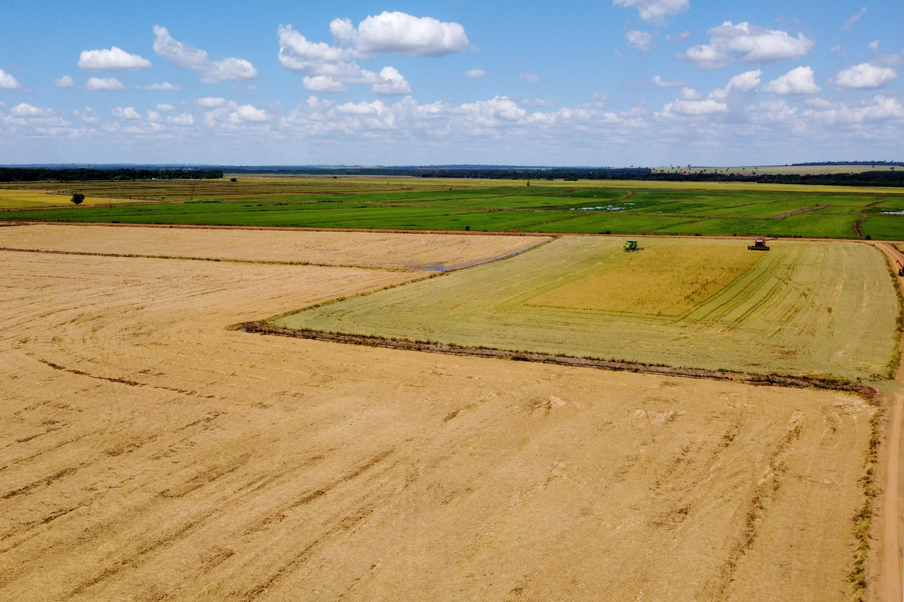 Fazenda Bassani em Santa Isabel do Ivaí. Foto: Ari Dias/AEN