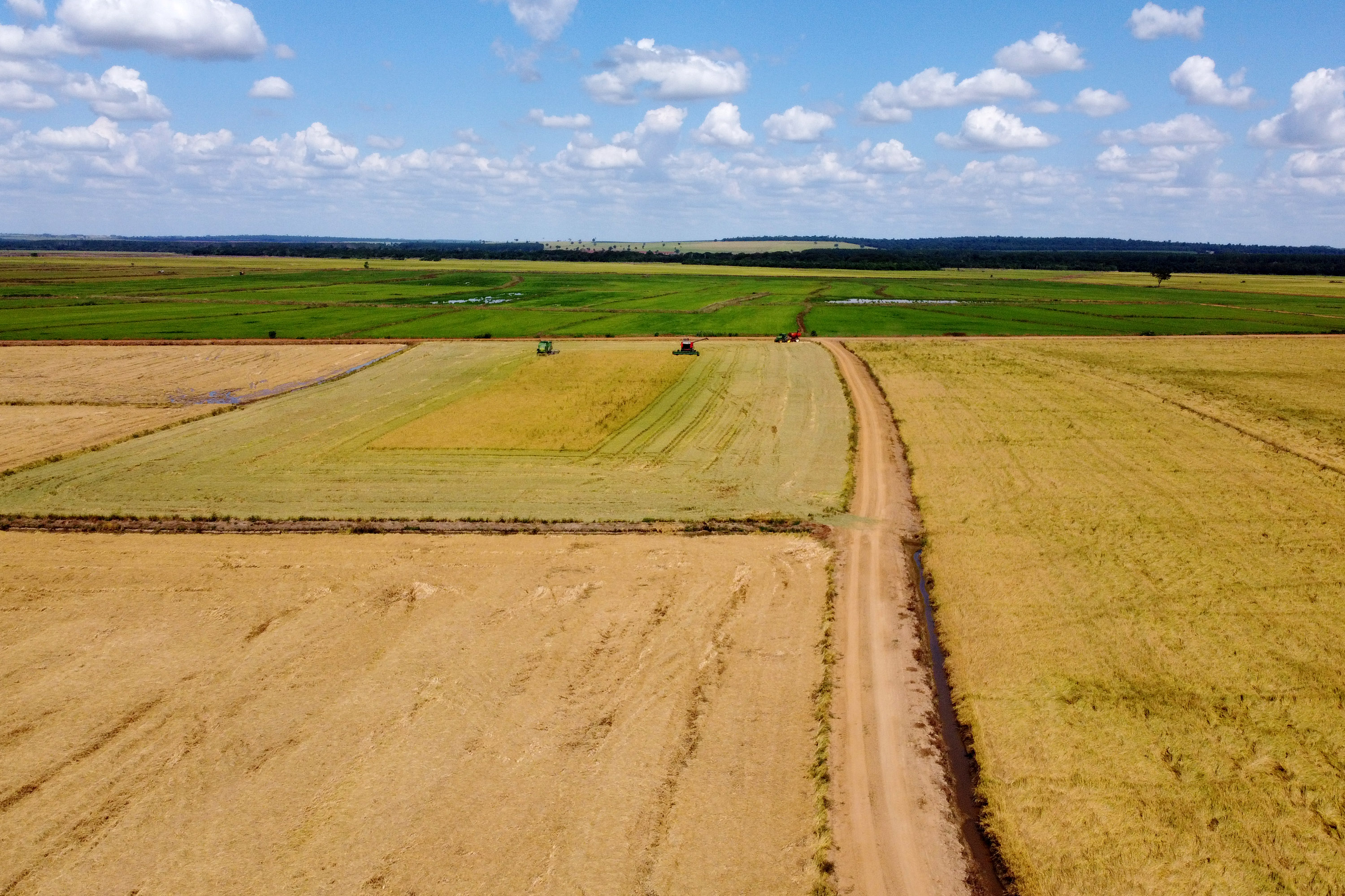 Fazenda Bassani em Santa Isabel do Ivaí. Foto: Ari Dias/AEN