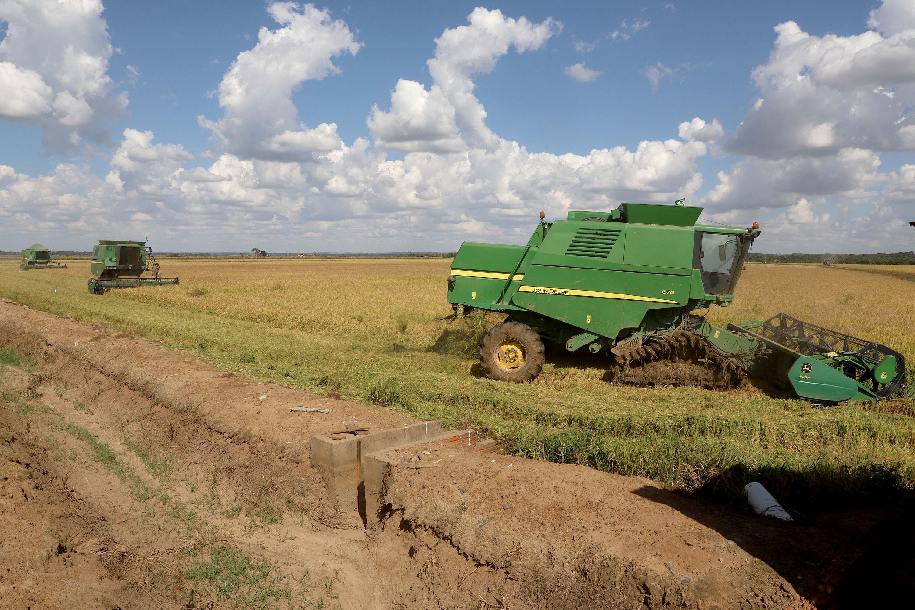 Colheita de arroz - Fazendas Volta Grande e Nova Brasília.Foto: Ari Dias/AEN