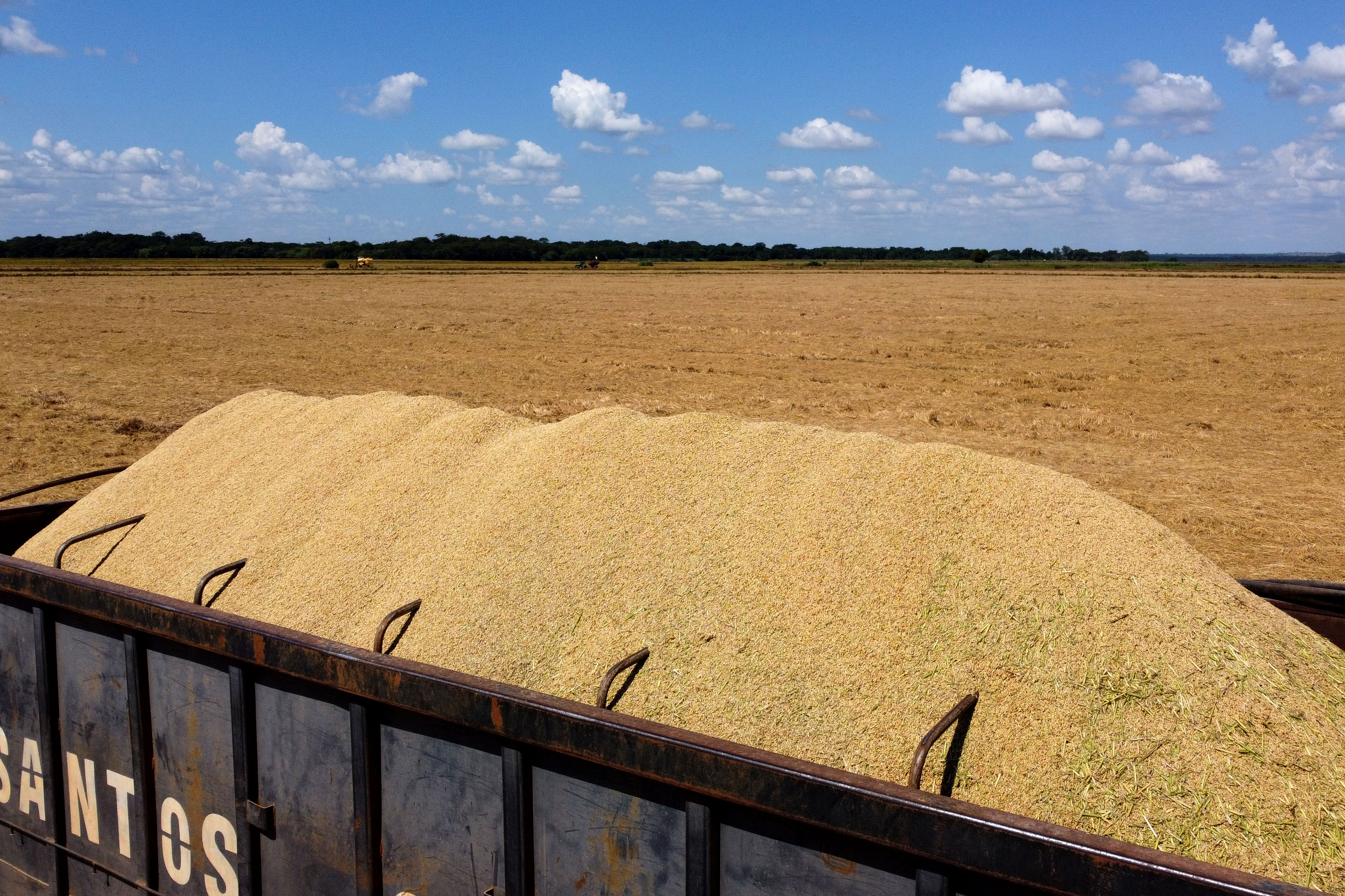 Fazenda Bassani em Santa Isabel do Ivaí. Foto: Ari Dias/AEN