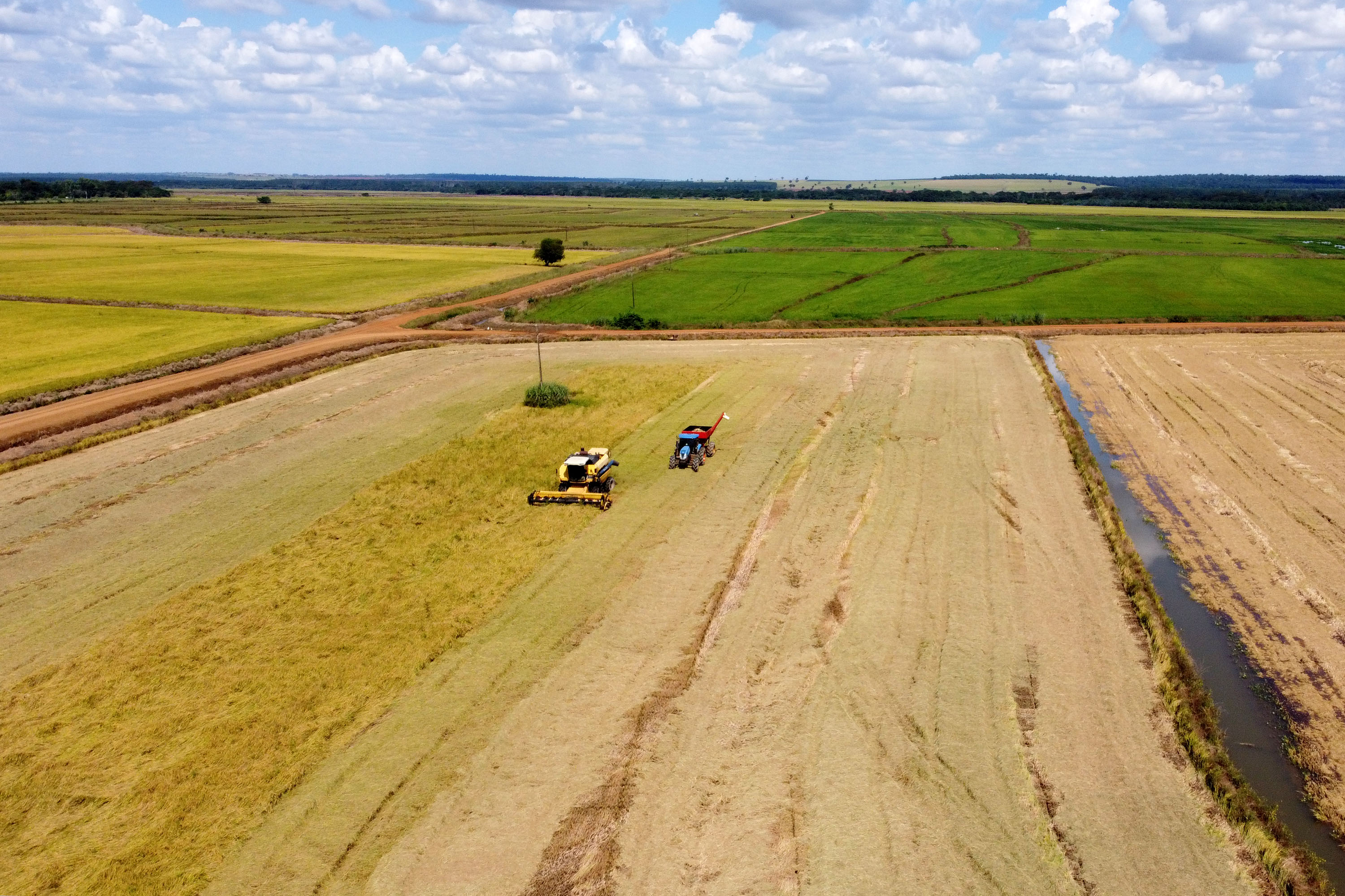 Fazenda Bassani em Santa Isabel do Ivaí. Foto: Ari Dias/AEN