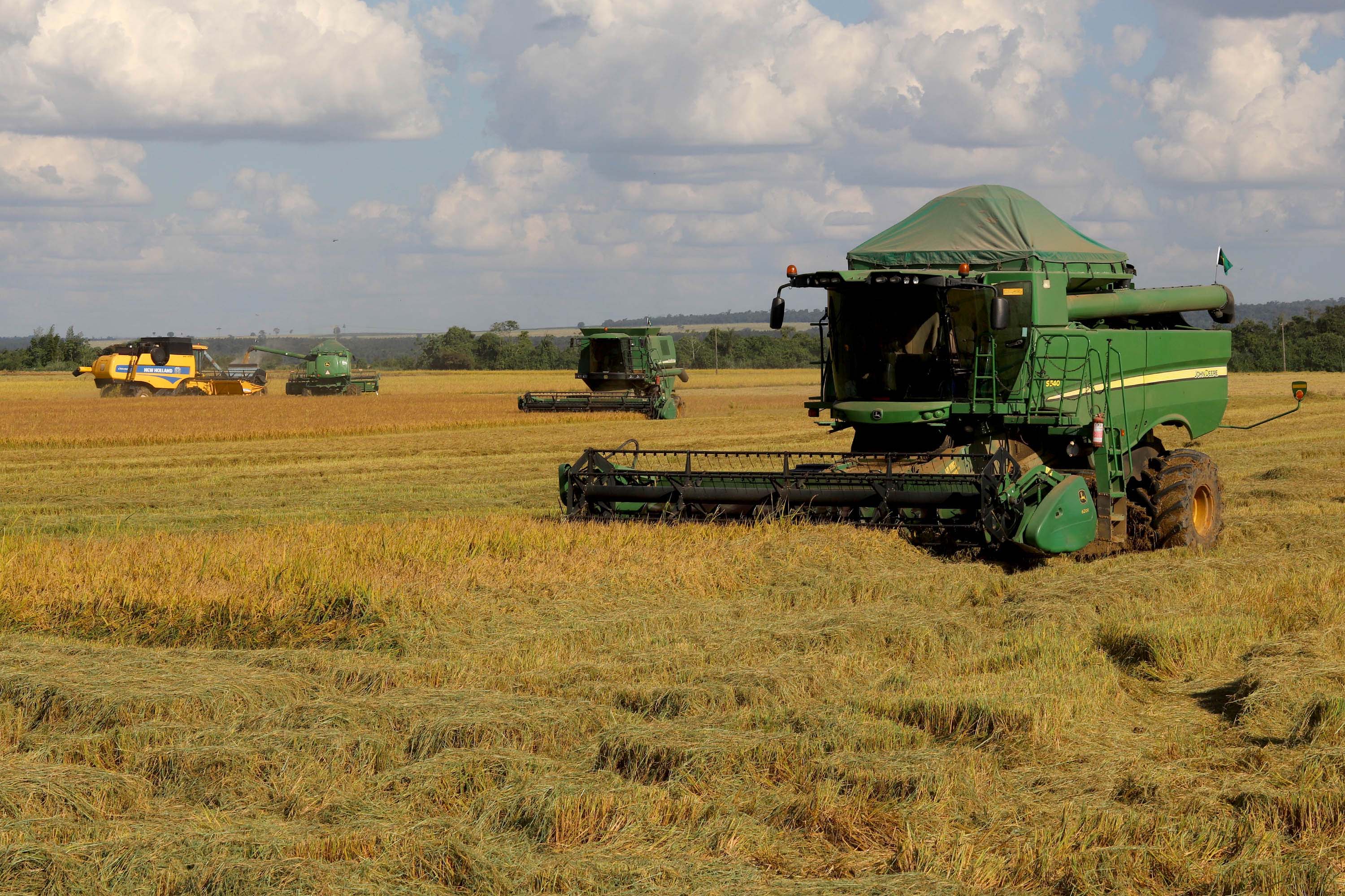Colheita de arroz - Fazendas Volta Grande e Nova Brasília.Foto: Ari Dias/AEN