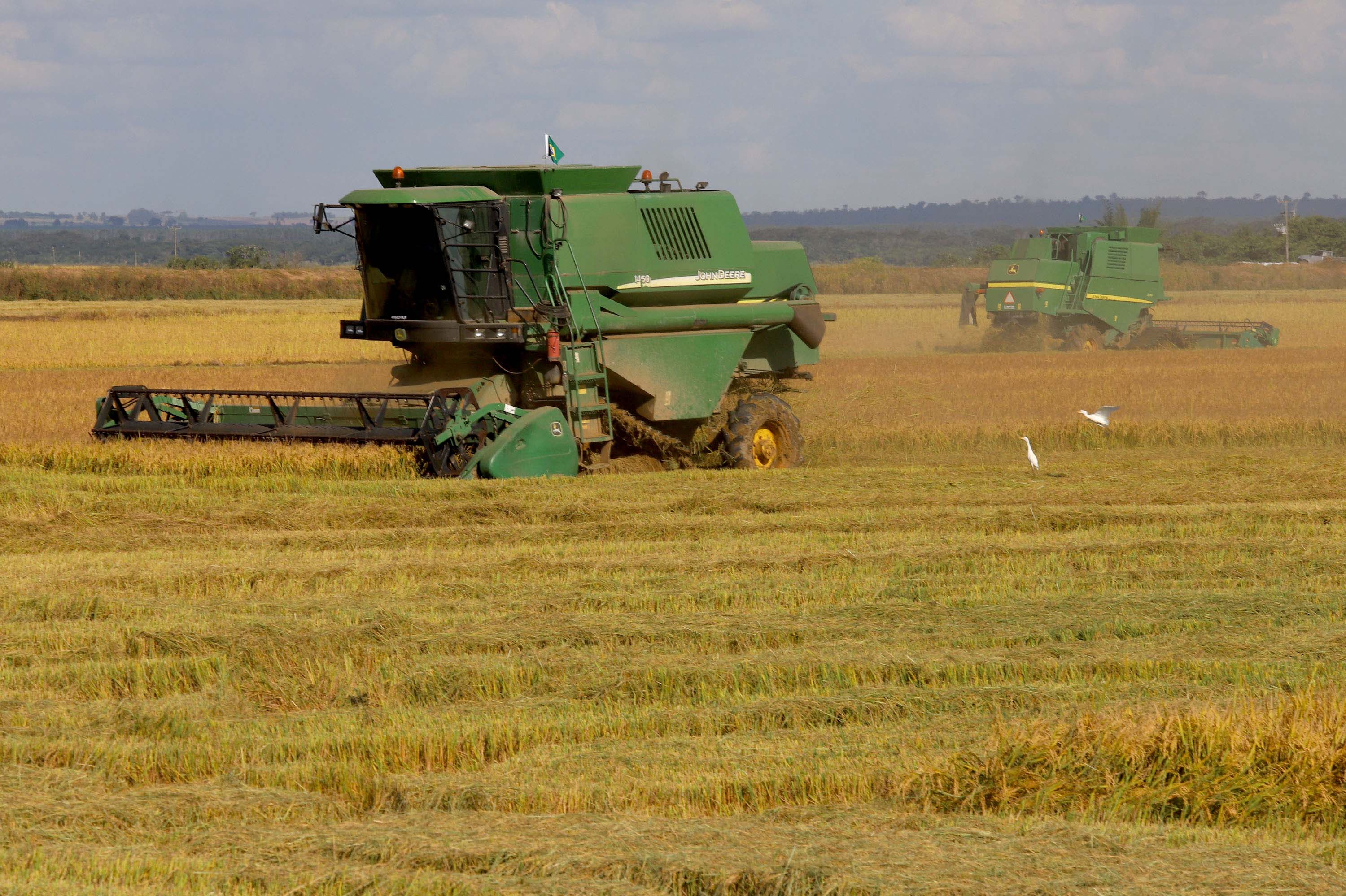 Colheita de arroz - Fazendas Volta Grande e Nova Brasília.Foto: Ari Dias/AEN