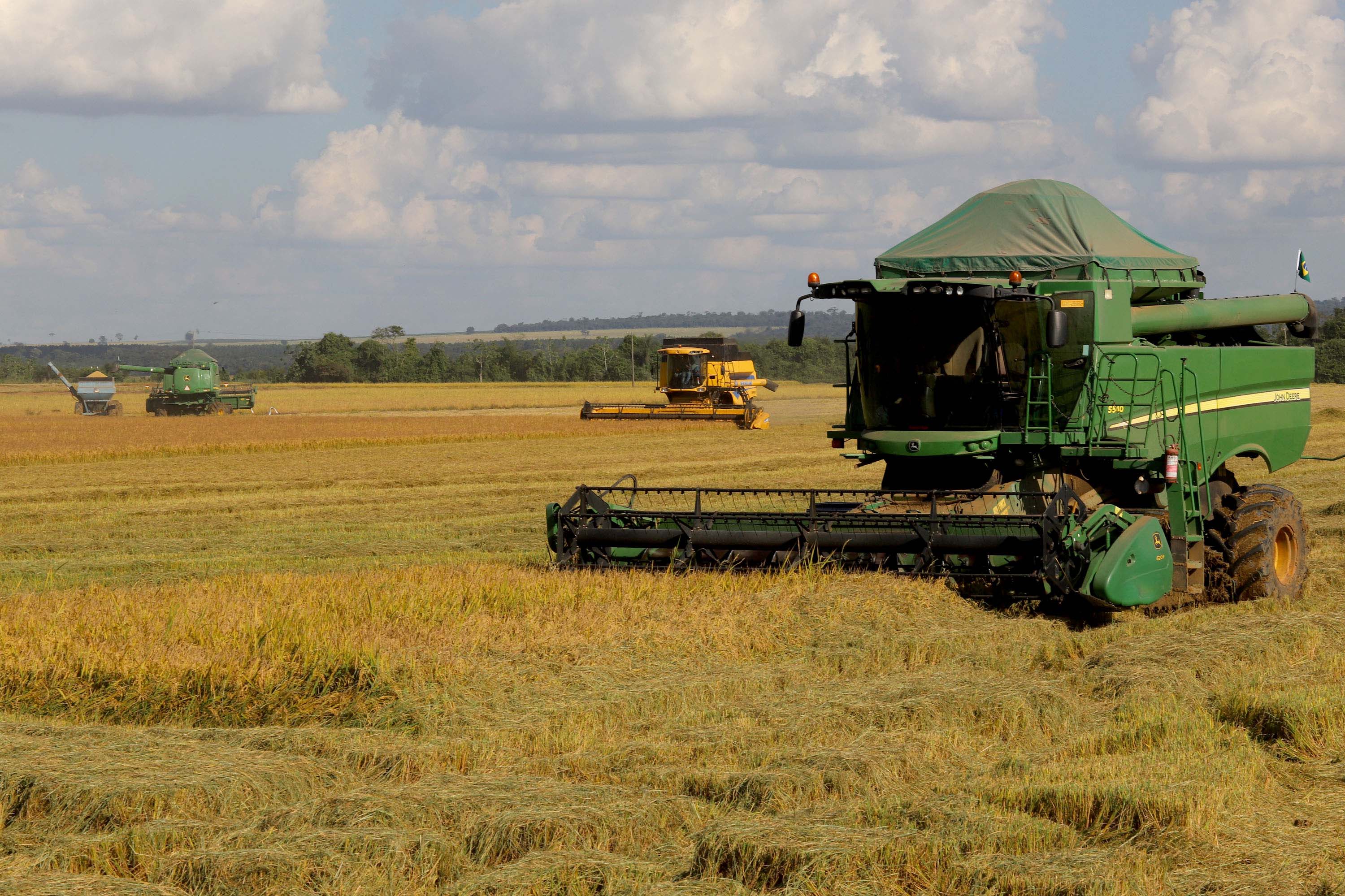 Colheita de arroz - Fazendas Volta Grande e Nova Brasília.Foto: Ari Dias/AEN