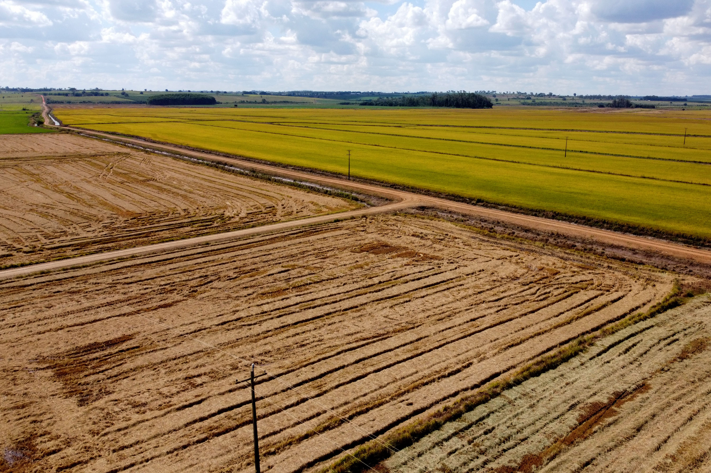Fazenda Bassani em Santa Isabel do Ivaí. Foto: Ari Dias/AEN