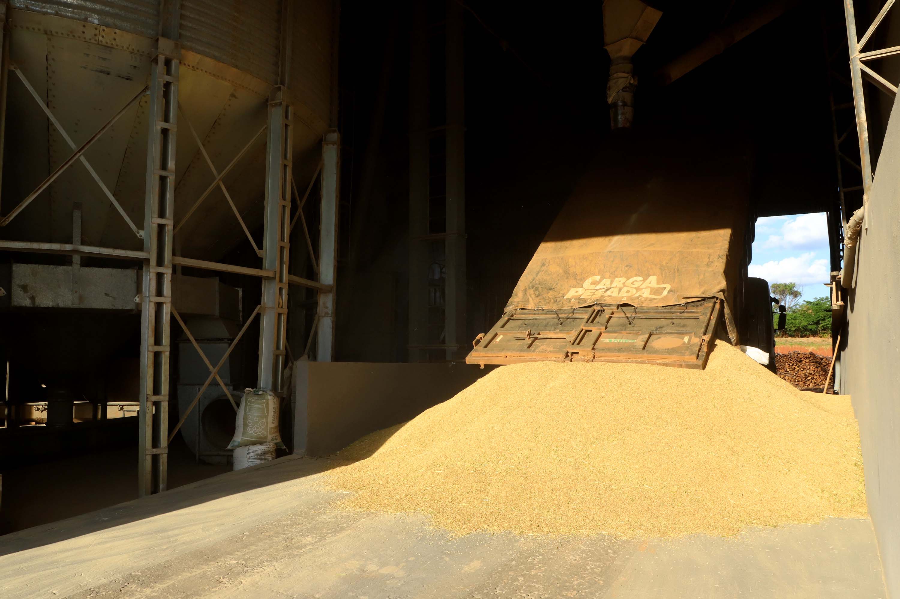 Colheita de arroz - Fazendas Volta Grande e Nova Brasília.Foto: Ari Dias/AEN