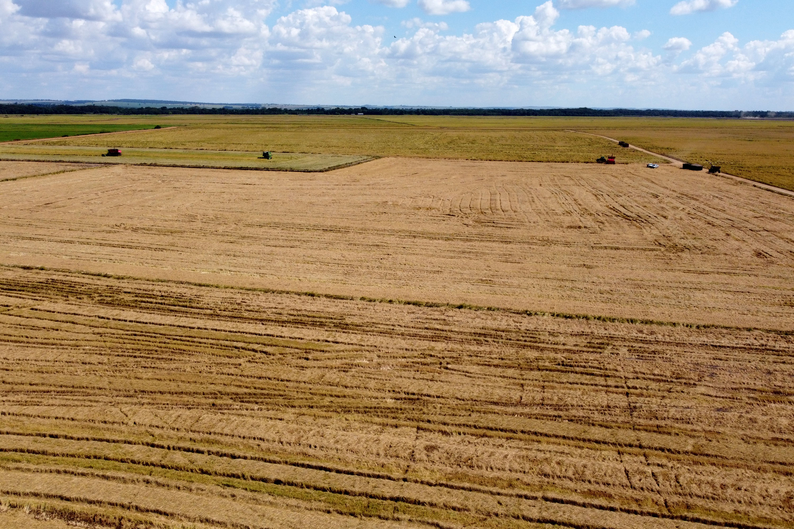 Fazenda Bassani em Santa Isabel do Ivaí. Foto: Ari Dias/AEN