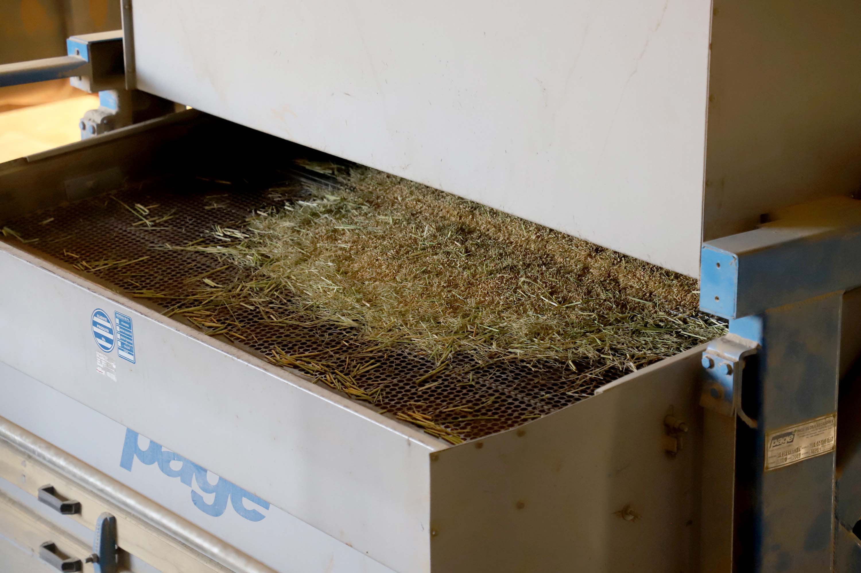 Colheita de arroz - Fazendas Volta Grande e Nova Brasília.Foto: Ari Dias/AEN