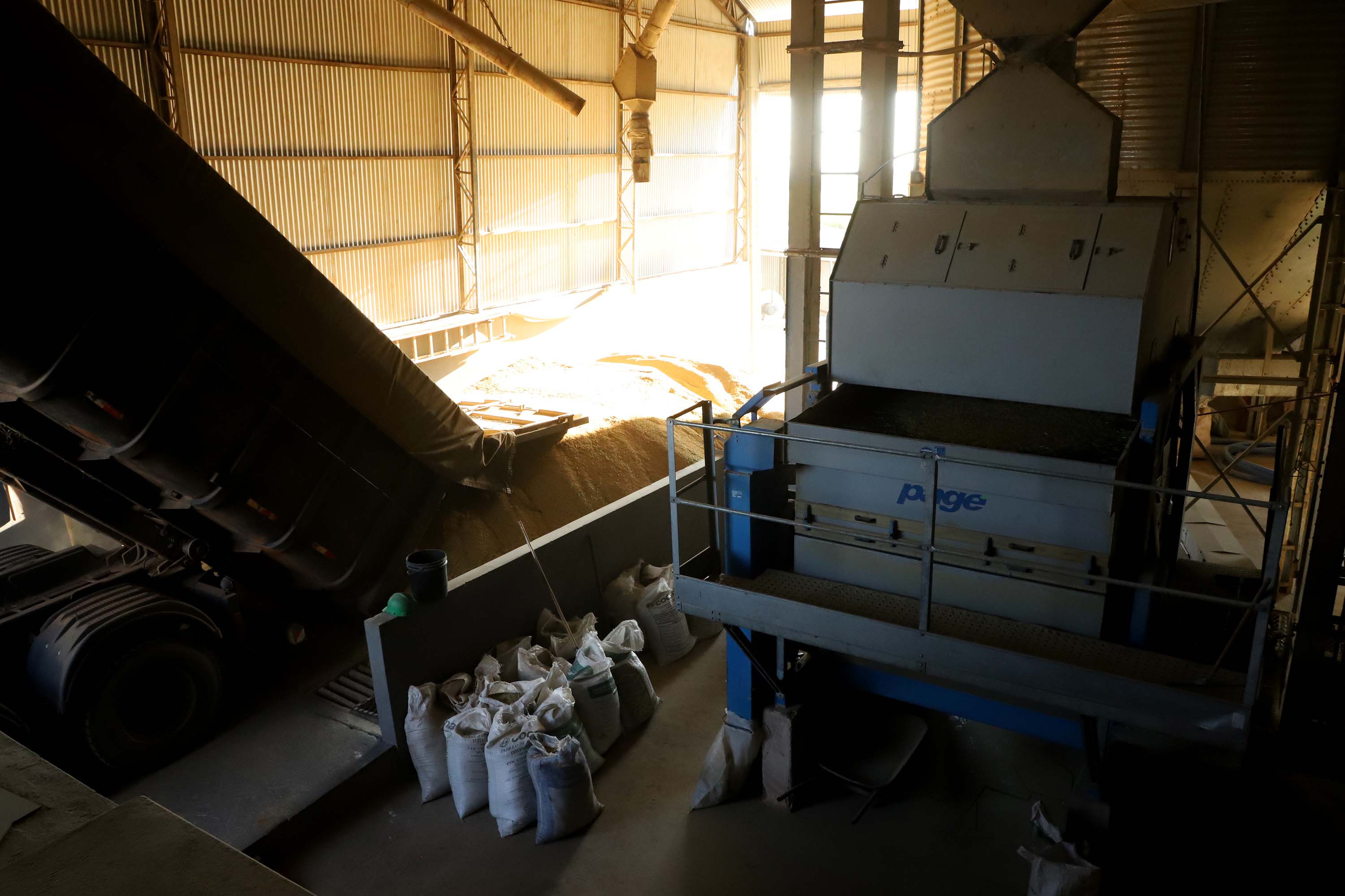 Colheita de arroz - Fazendas Volta Grande e Nova Brasília.Foto: Ari Dias/AEN