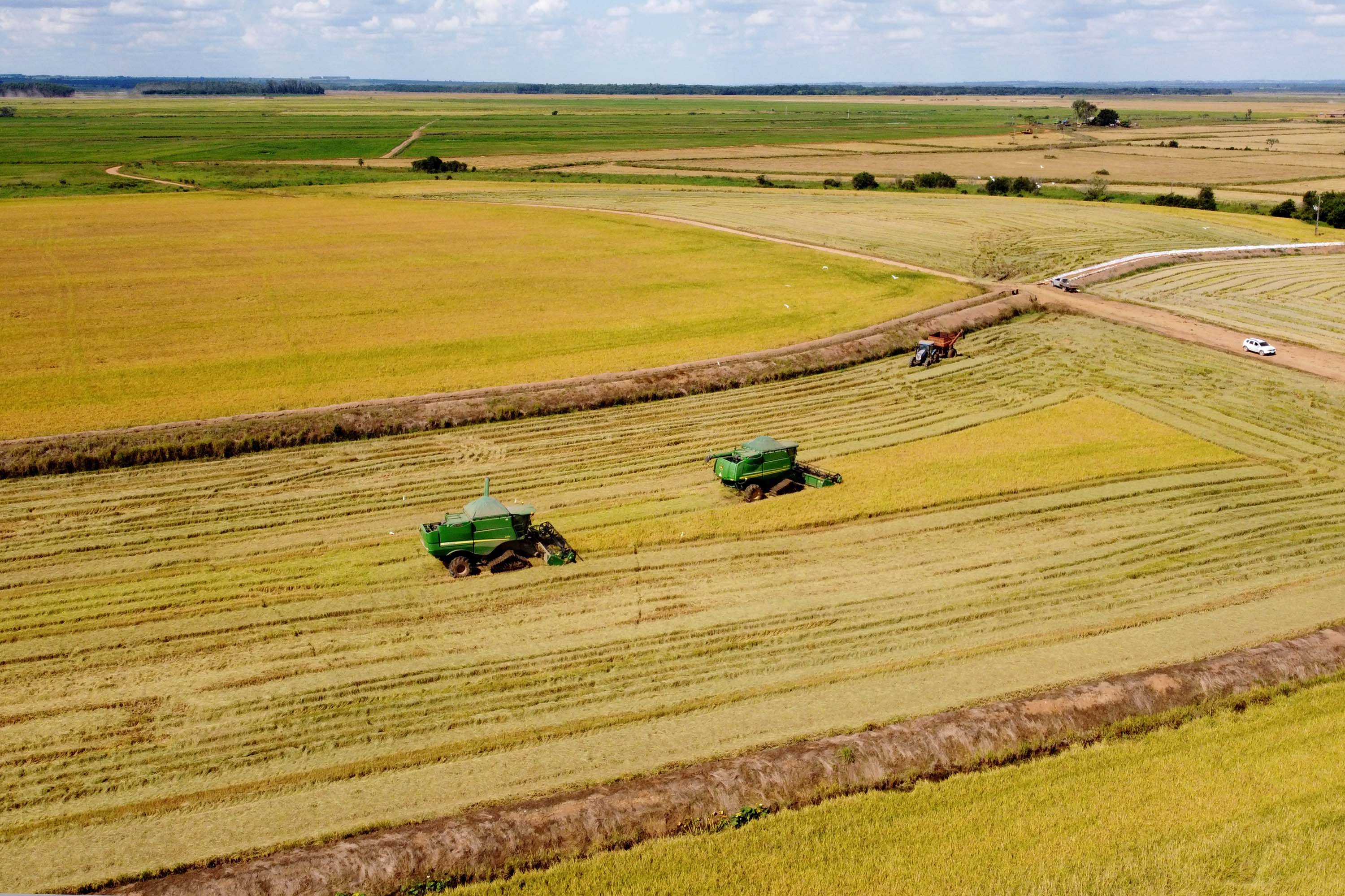 Colheita de arroz - Fazendas Volta Grande e Nova Brasília.Foto: Ari Dias/AEN
