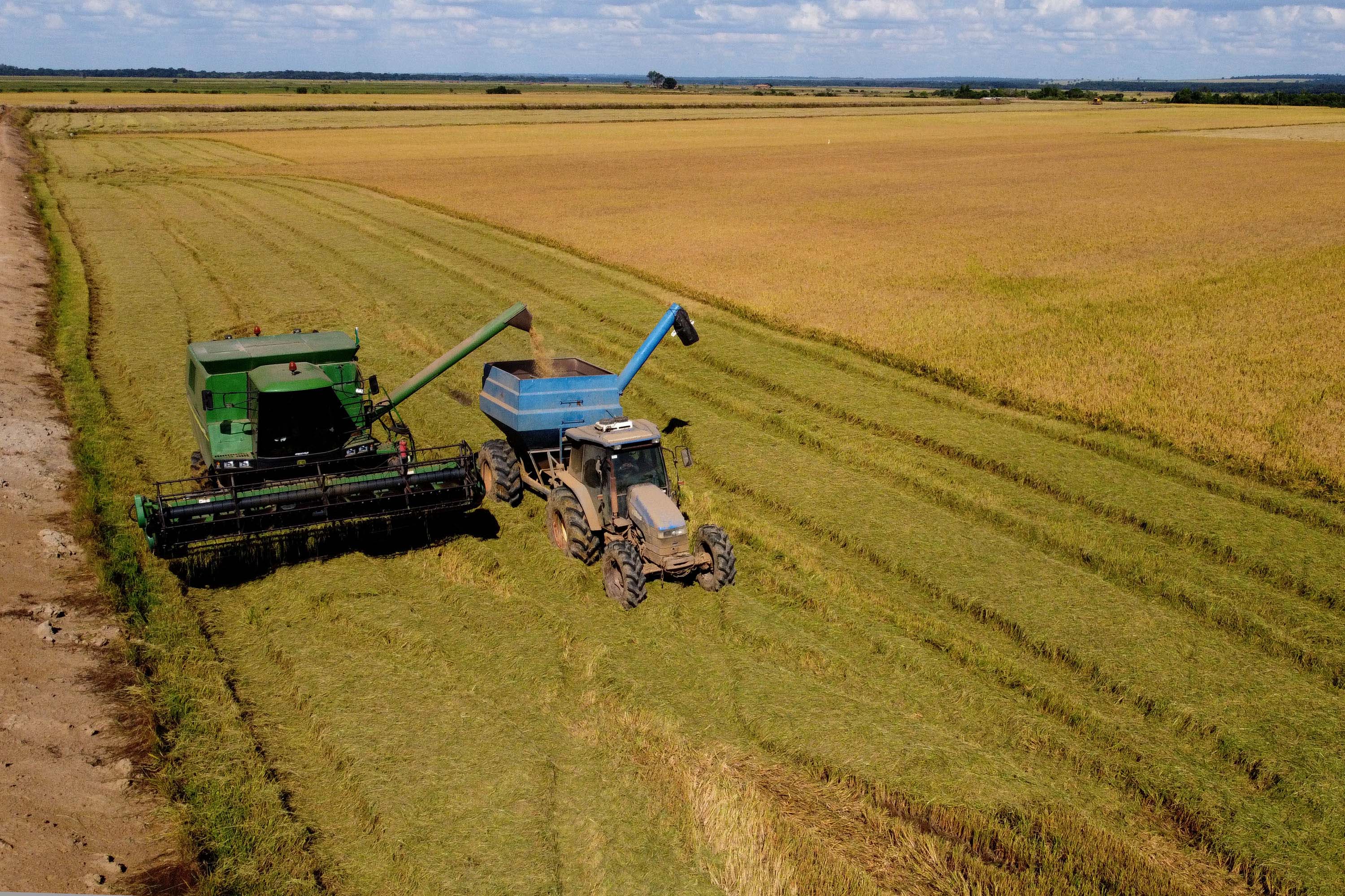 Colheita de arroz - Fazendas Volta Grande e Nova Brasília.Foto: Ari Dias/AEN