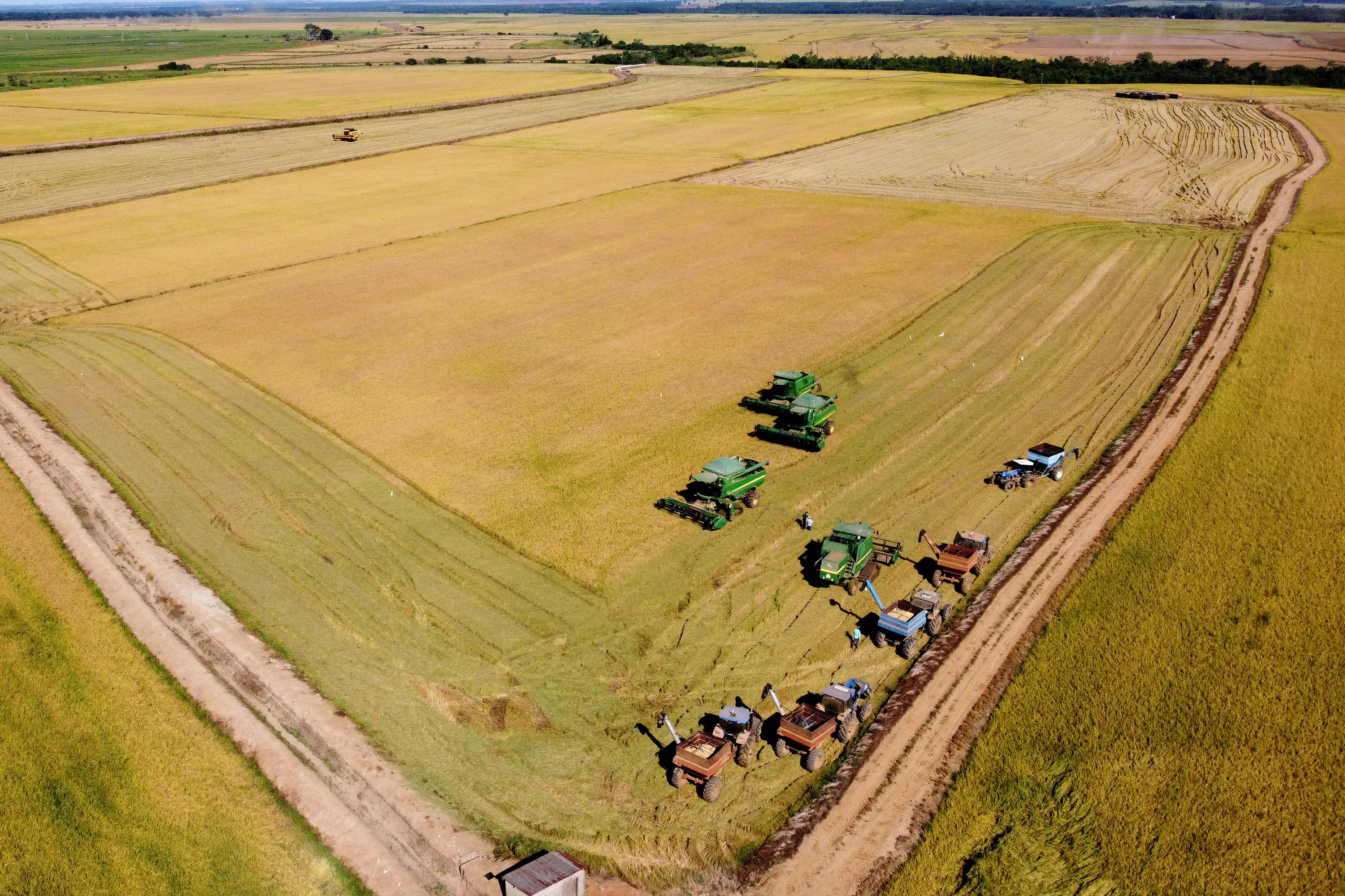 Colheita de arroz - Fazendas Volta Grande e Nova Brasília.Foto: Ari Dias/AEN